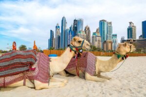 Moving to the UAE: the ultimate checklist