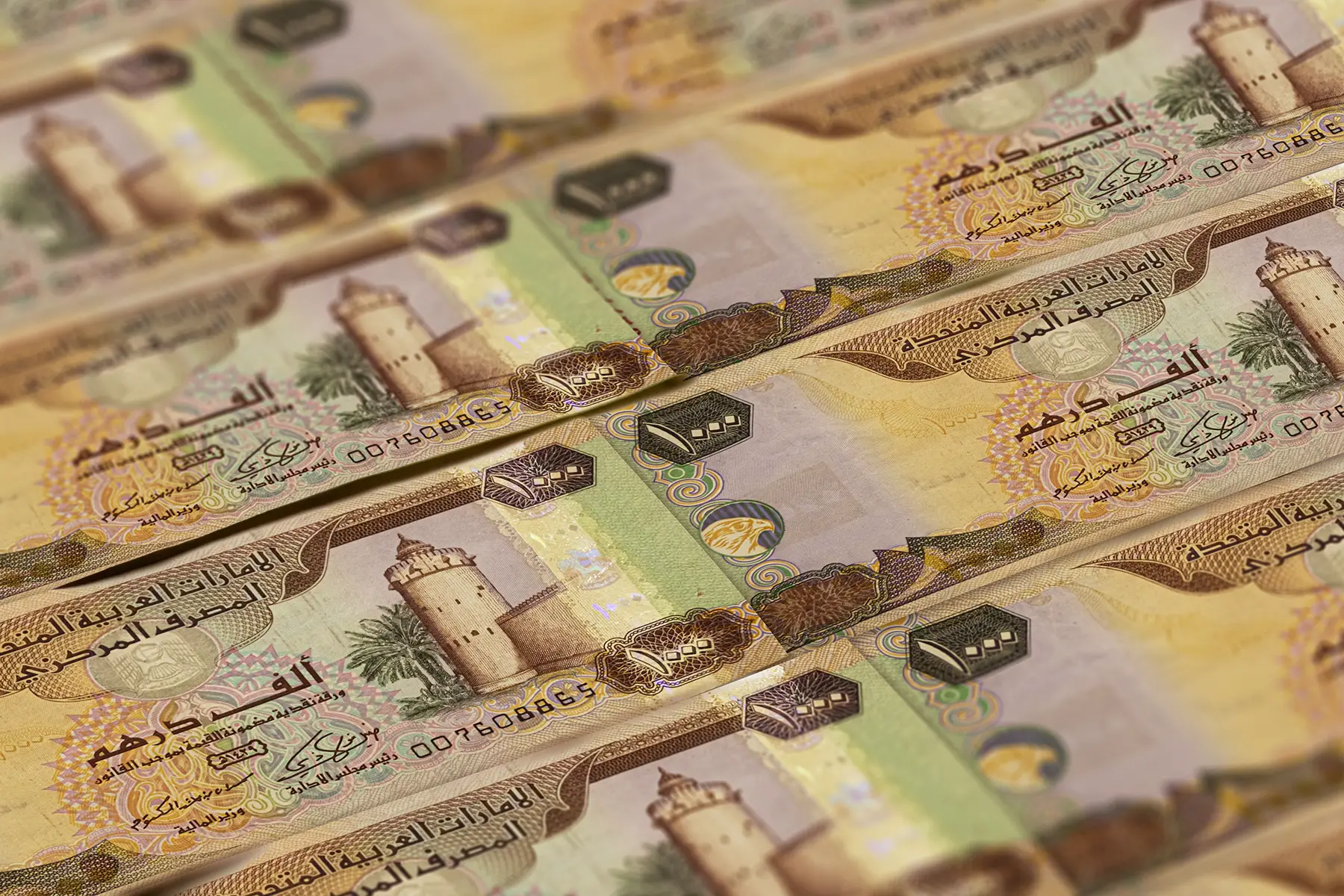 Closeup of UAE dirham notes