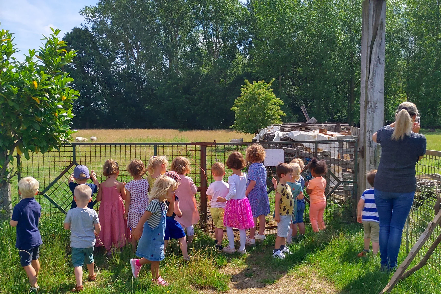 Children with nursery teacher in a field in Belgium