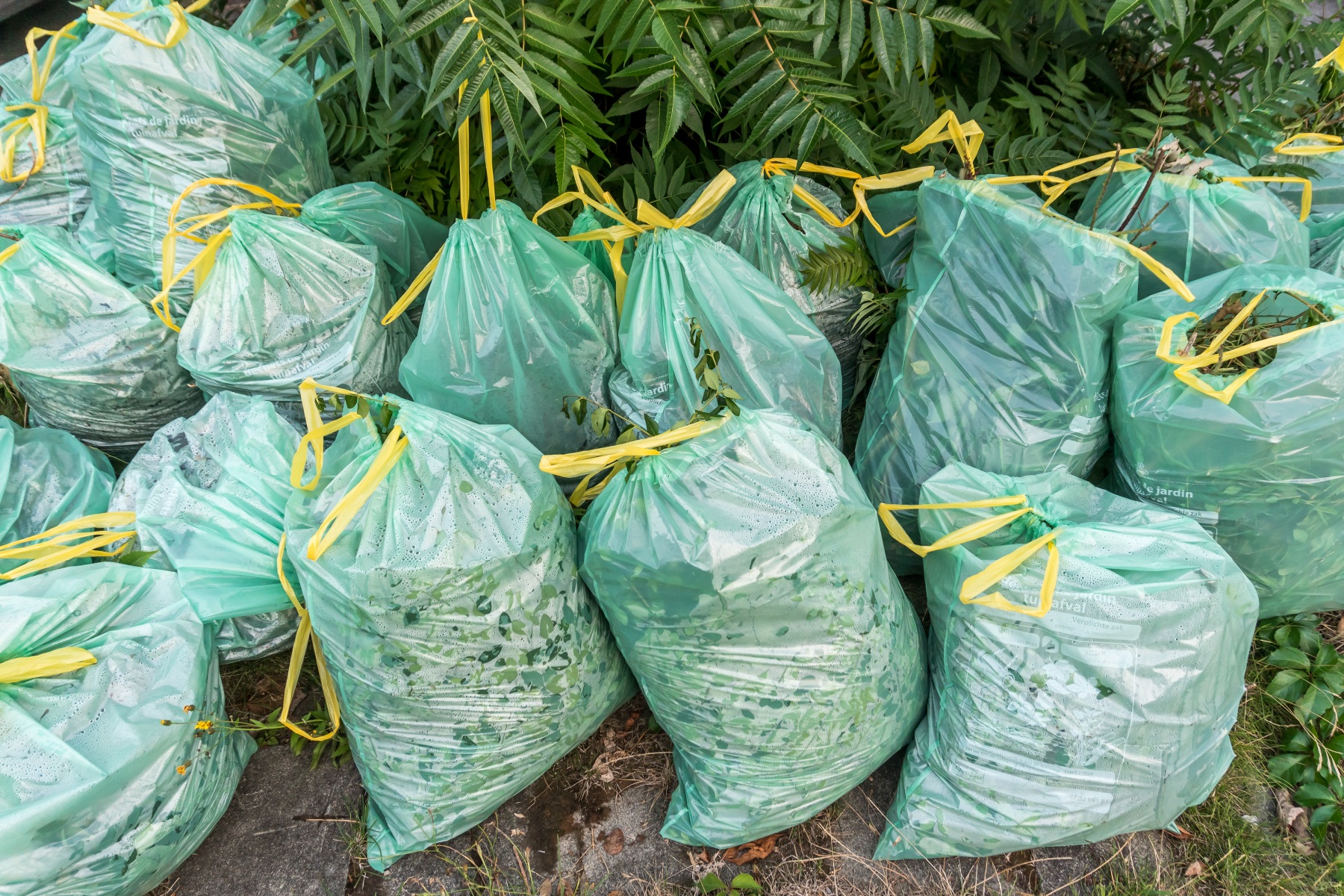 a heap of green garden waste recycling bags ready for collection in Auderghem, Brussels