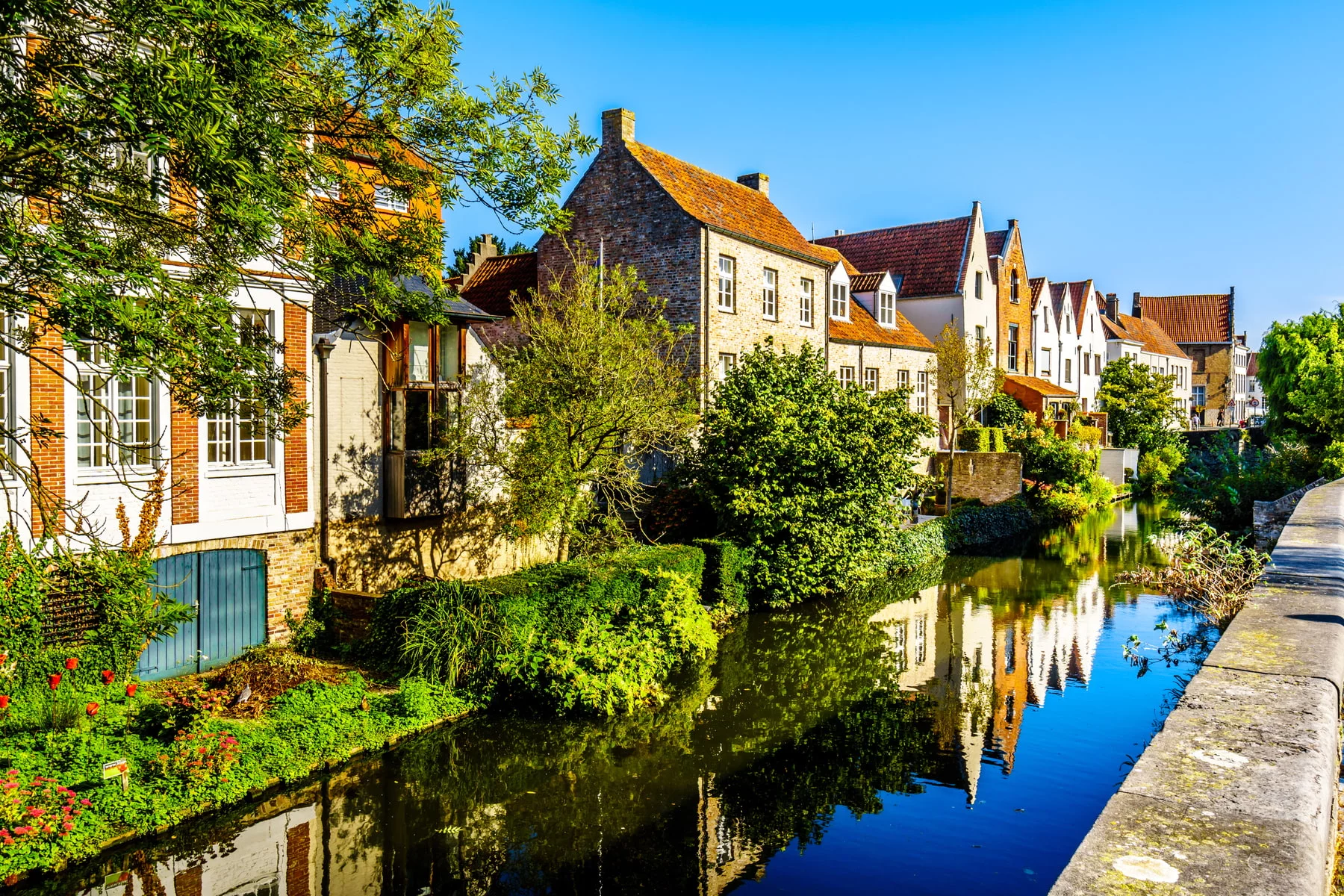 houses with small backyard gardens along a canal in Bruges