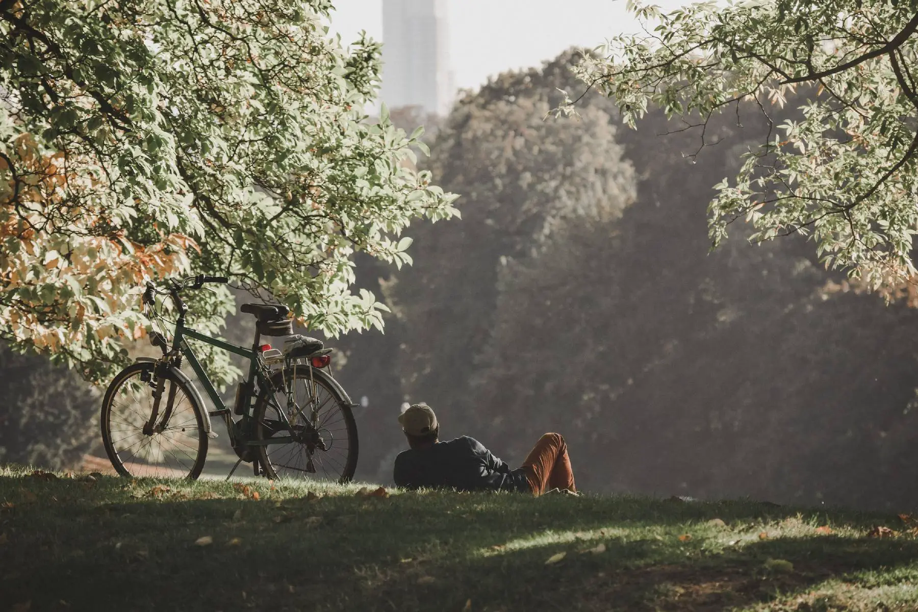 Man relaxing in a Brussels park with his bicycle