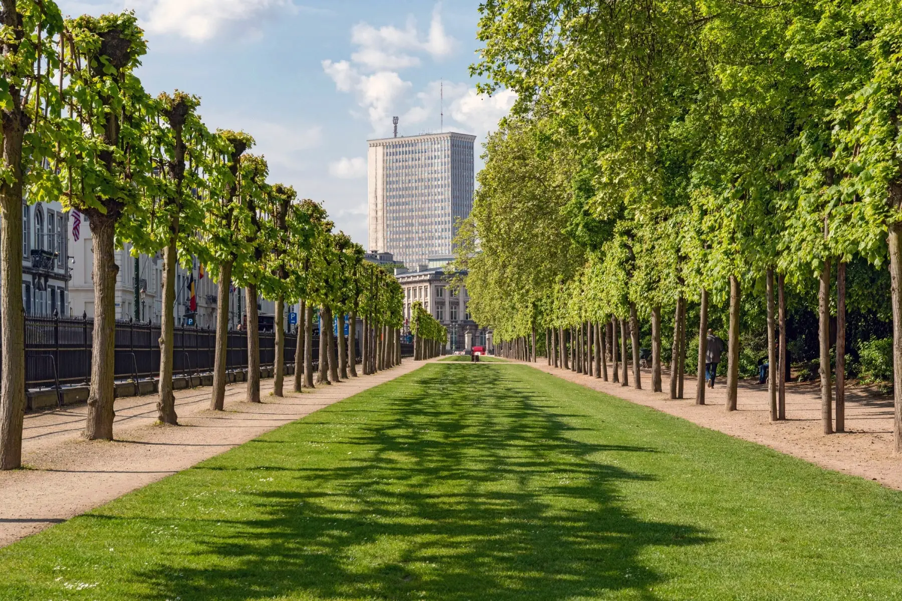 Row of trees leading to an office tower in Parc de Bruxelles in Brussels