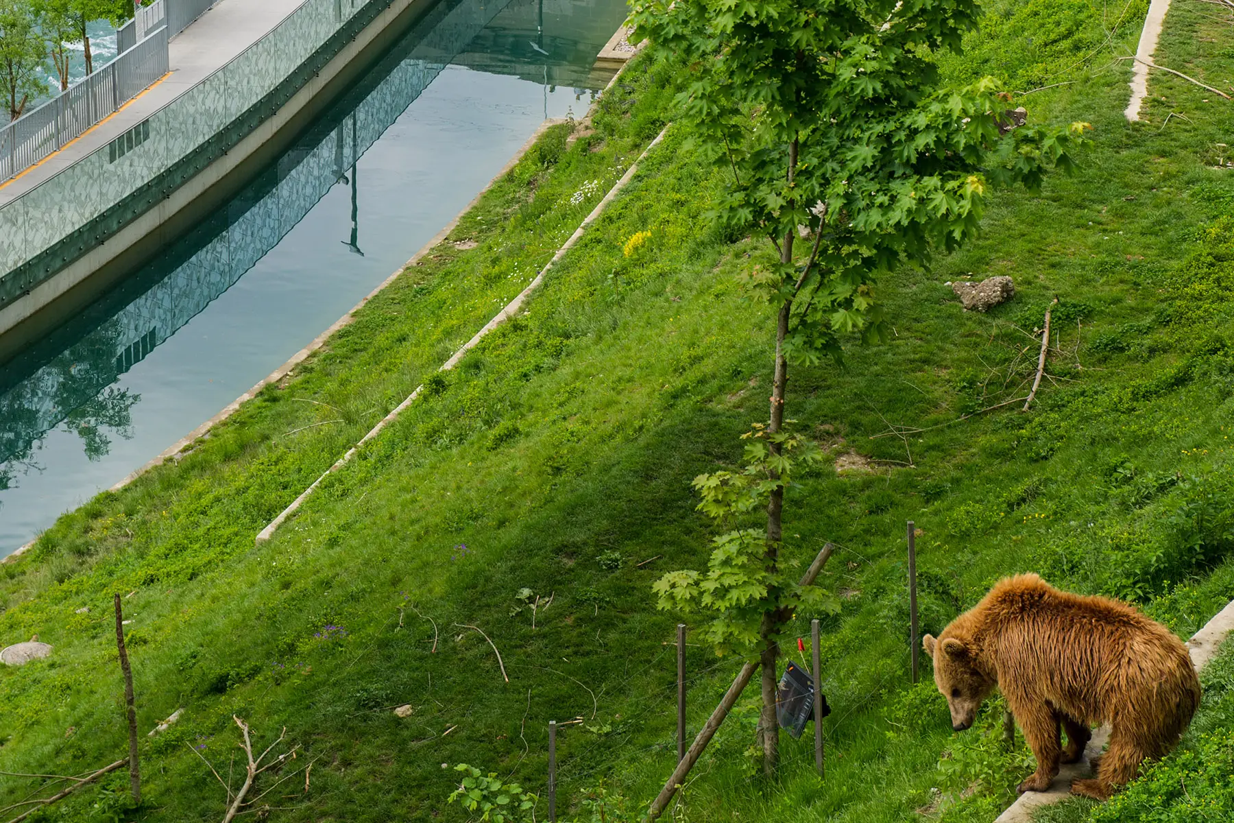 The Bern Bear Park