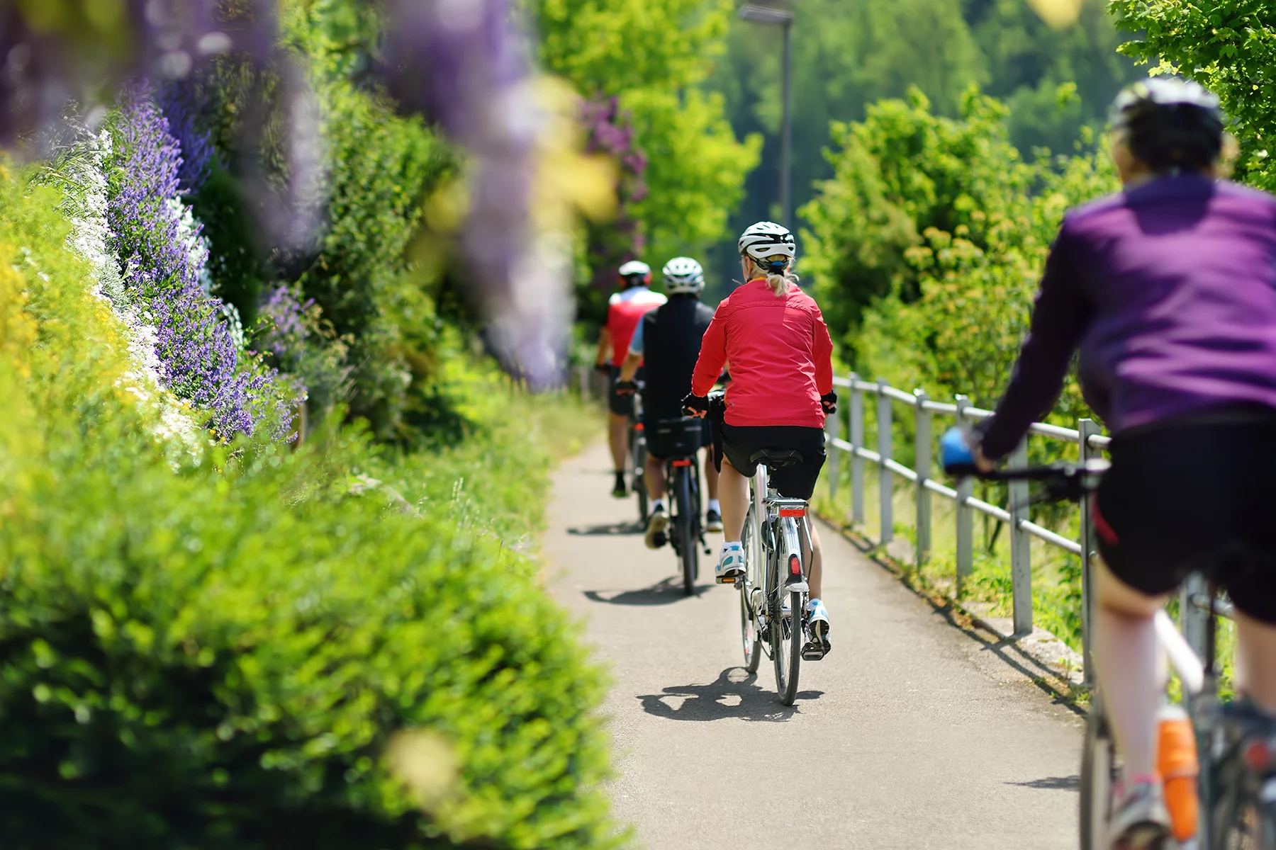 Cyclists on a cycle path in Switzerland