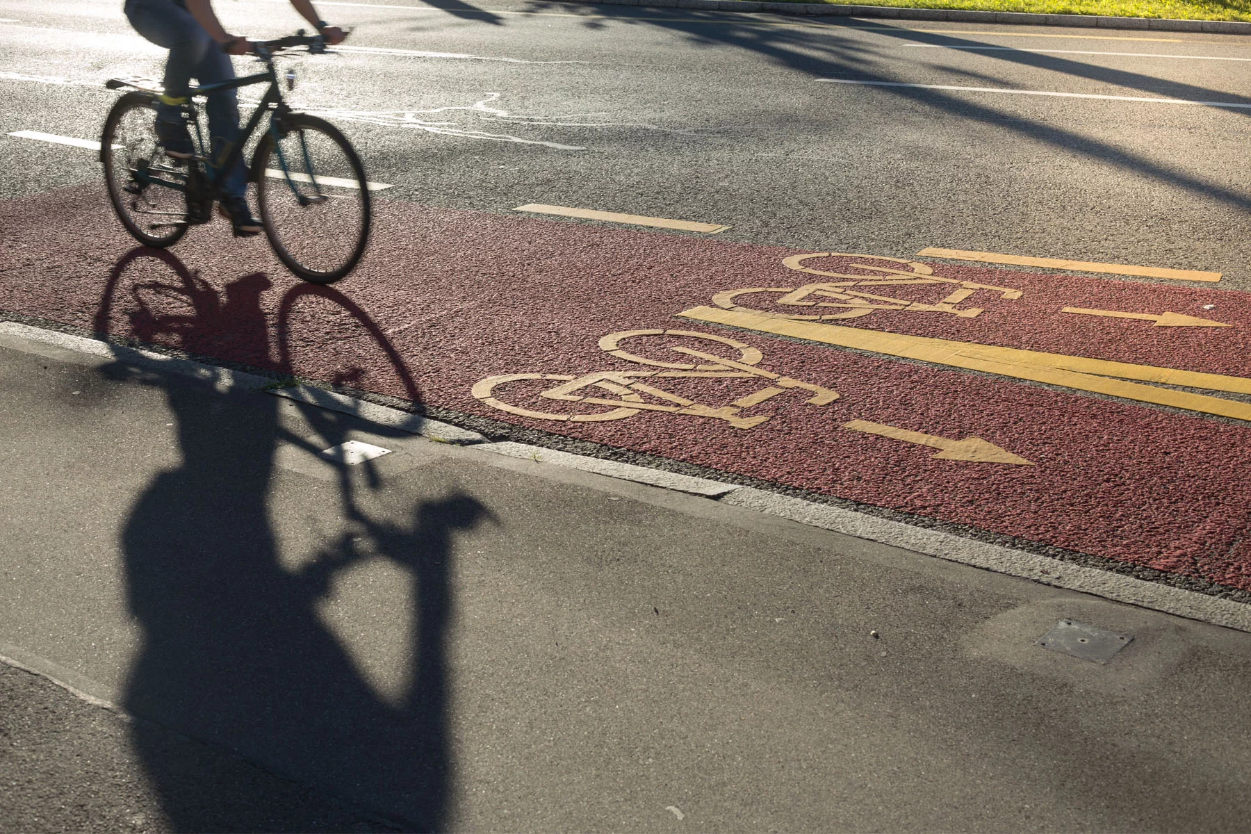 A cyclist commutes through green-minded Zurich