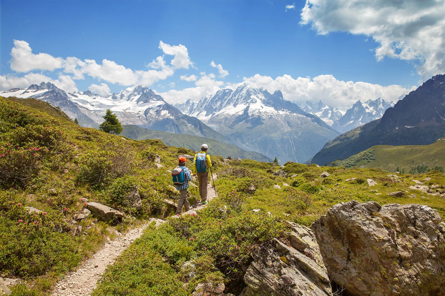 A family hike in the Swiss Alps