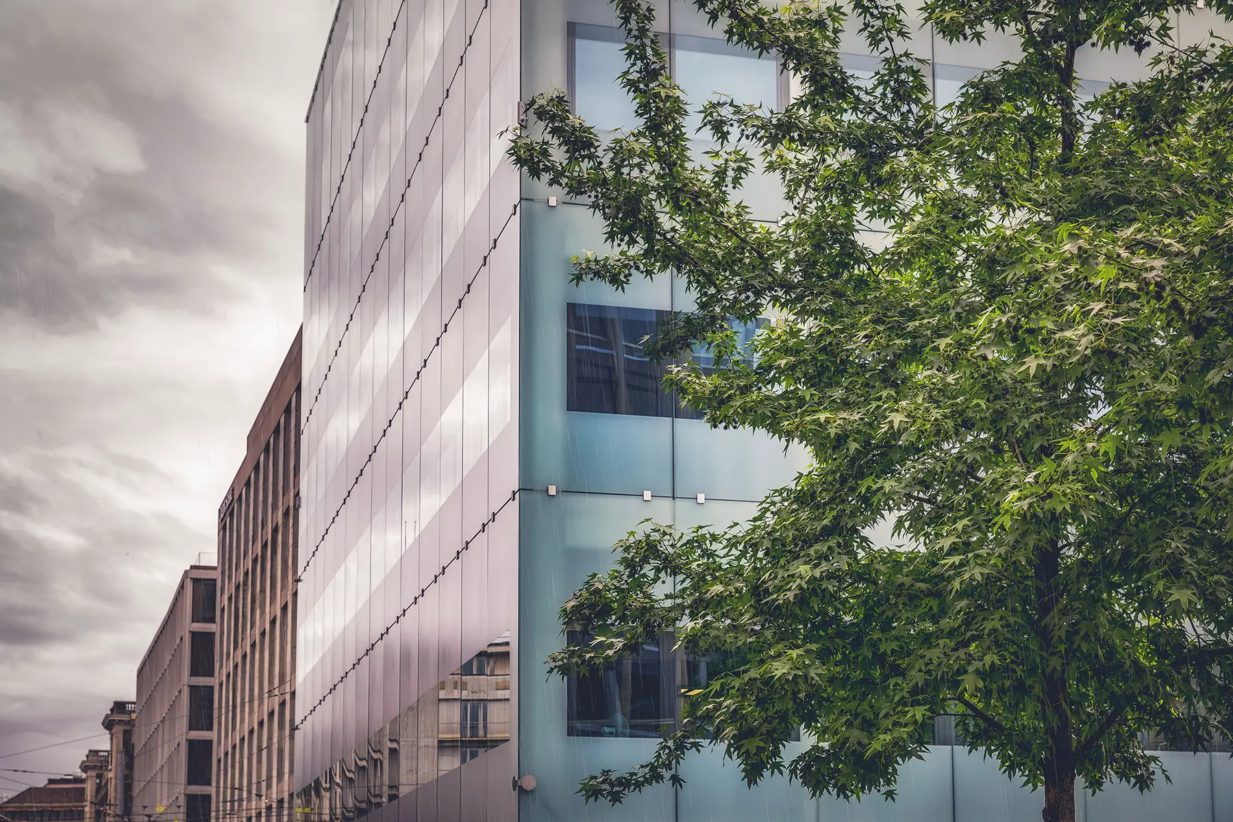 Office buildings next to tree in Geneva