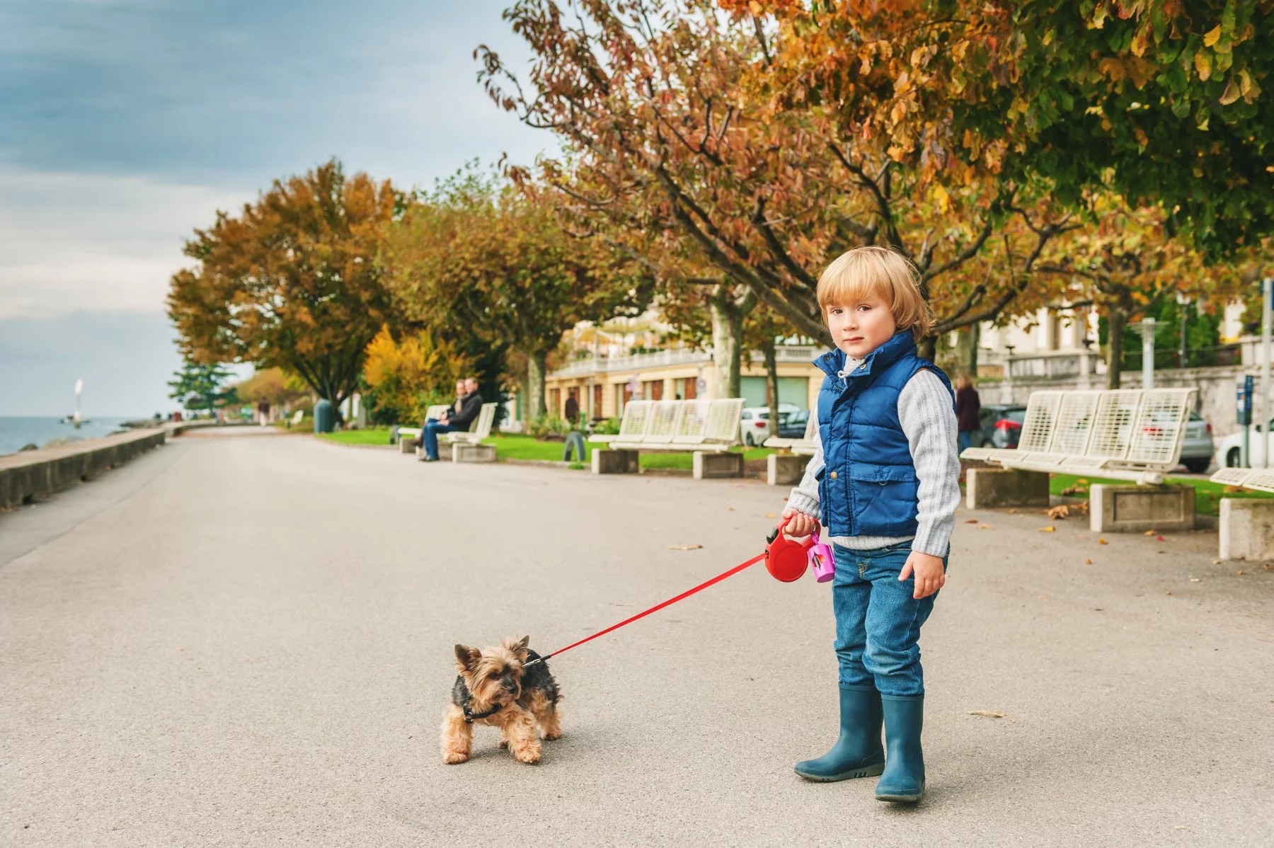 Young Swiss boy with a leashed dog