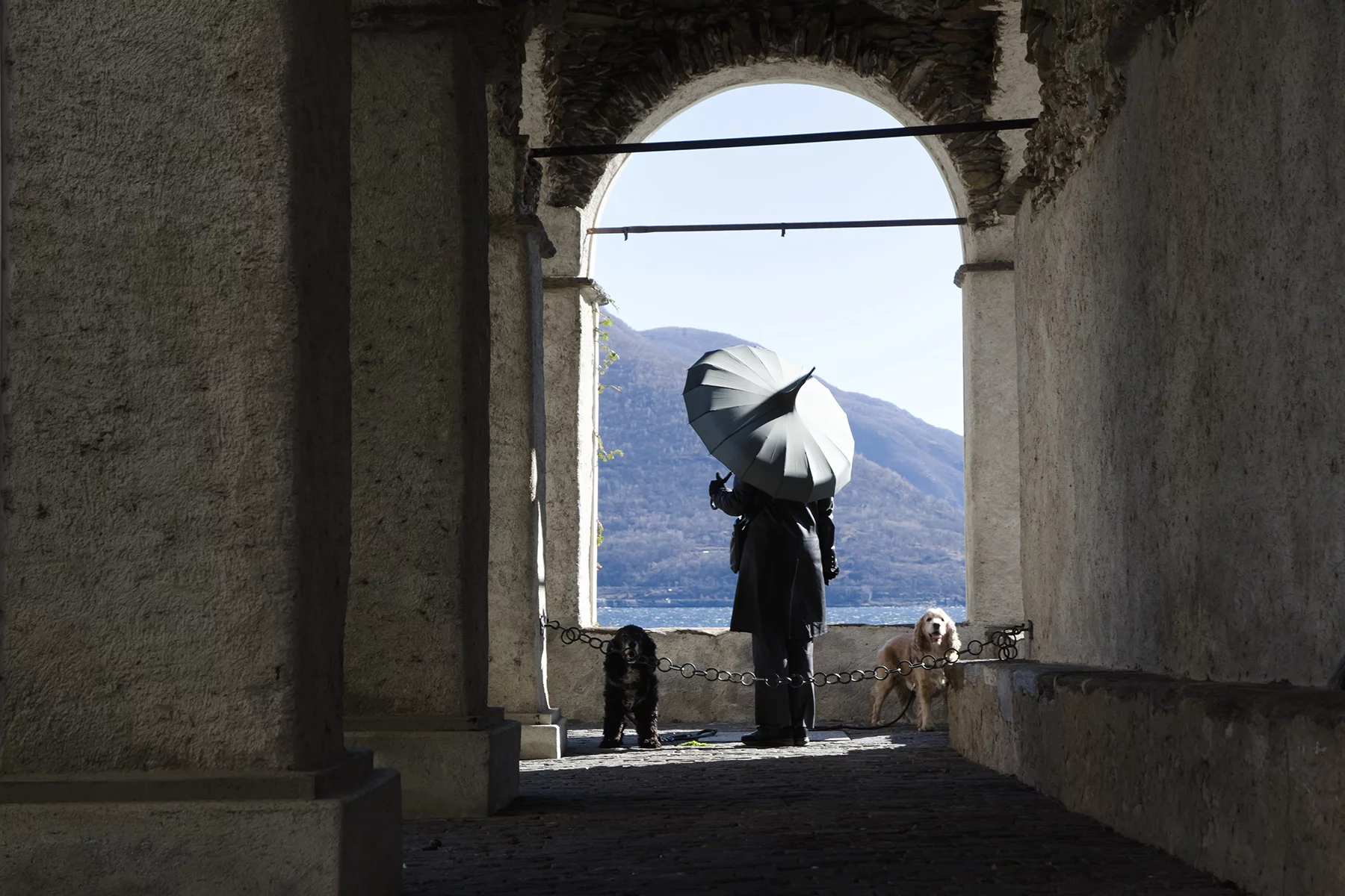 Woman walking her dogs in Ticino, Switzerland