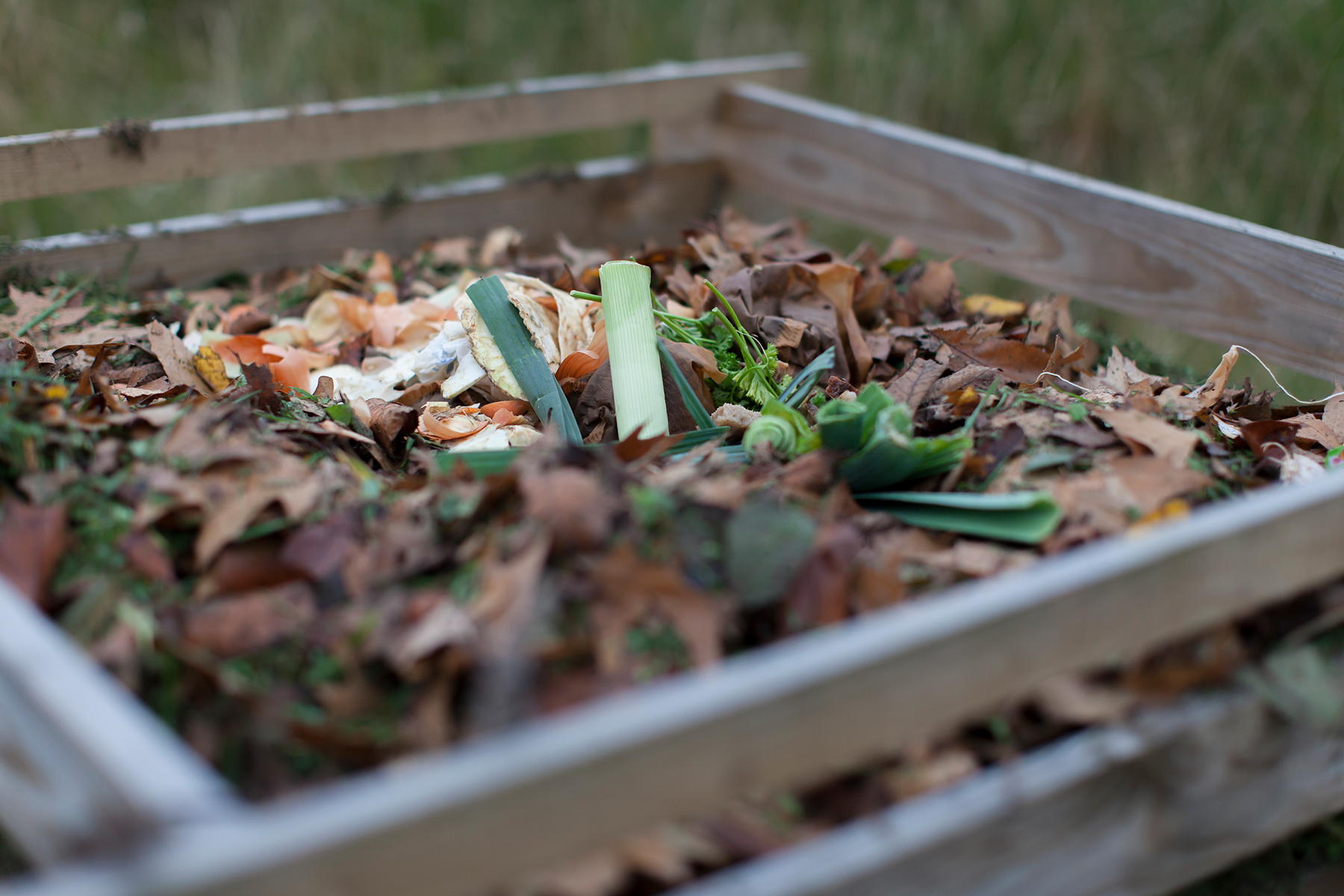 A wooden compost bin with some vegetable remains on top