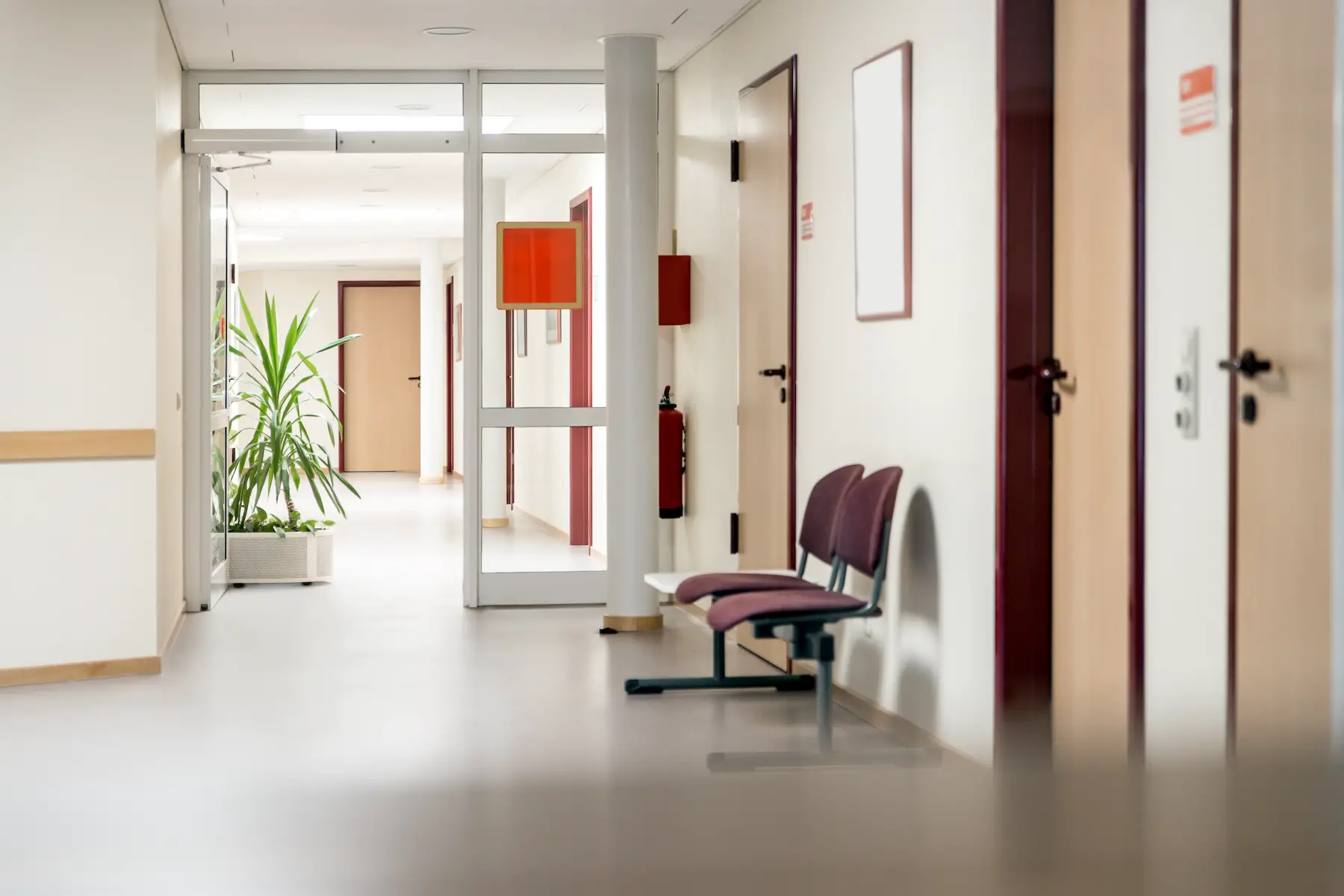An empty doctor's office corridor lined with waiting chairs and plants 