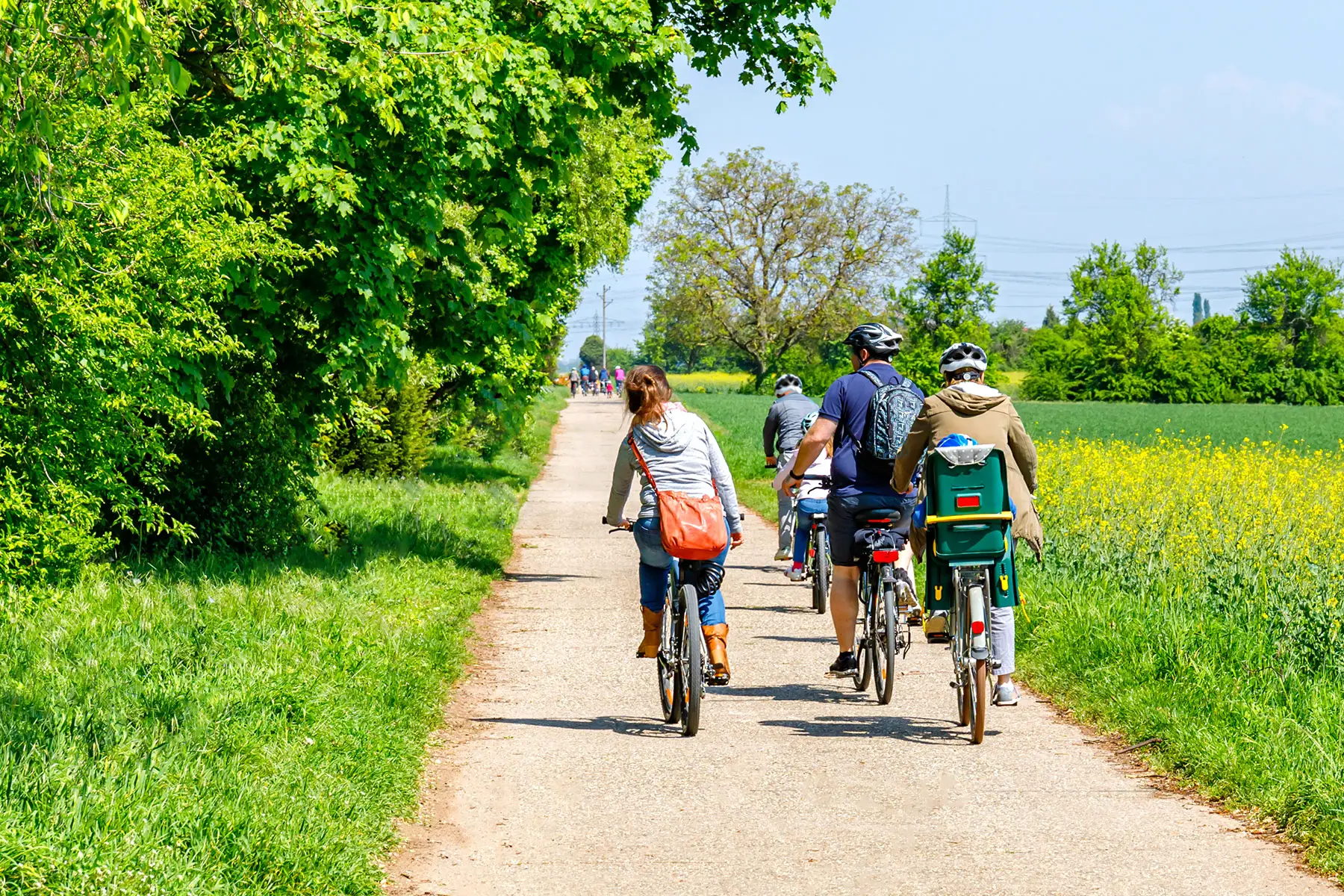 A family cycling in the German countryside