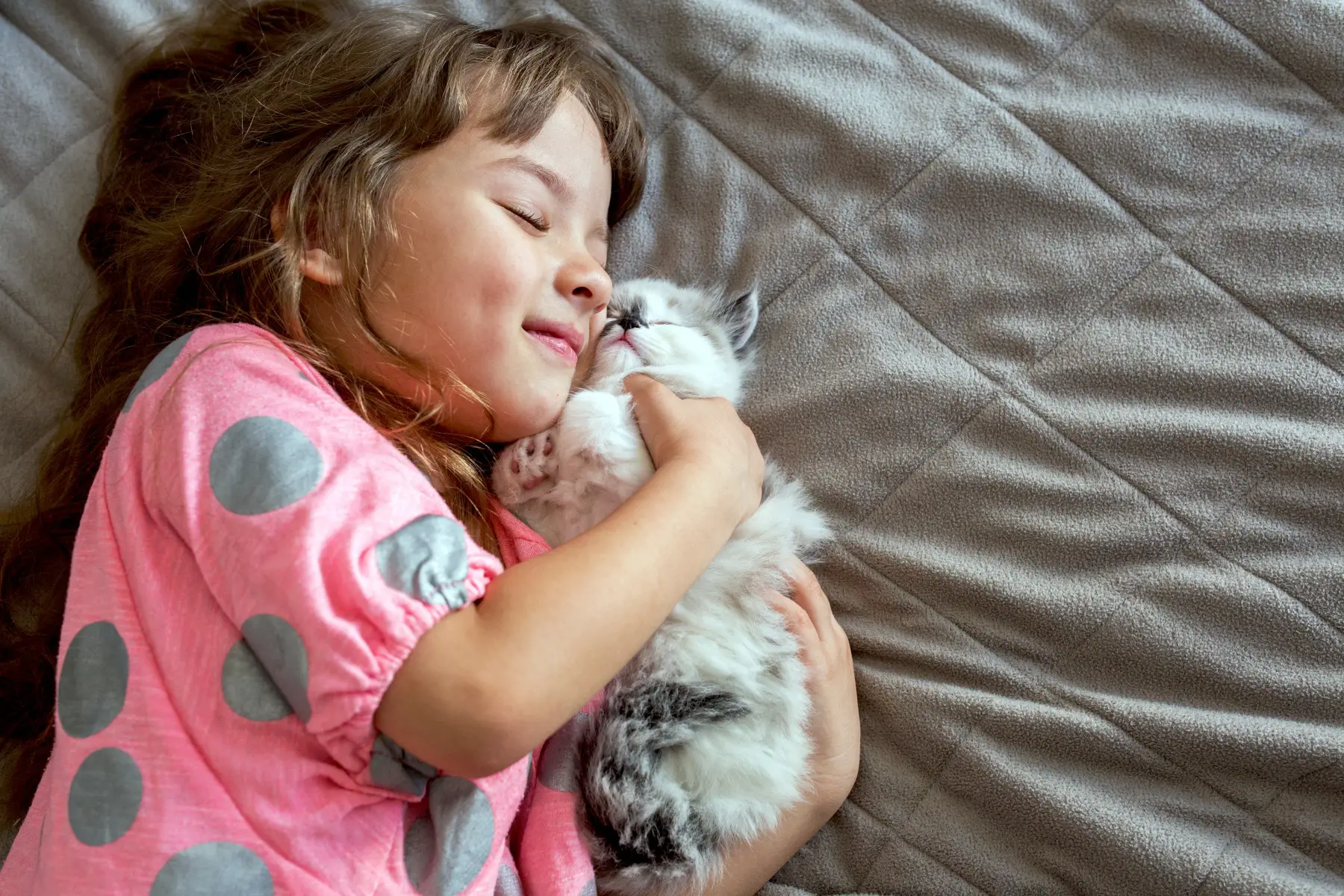 a little girl laying on a bed and cuddling a cute fluffy kitten, both have their eyes closed and seem happy