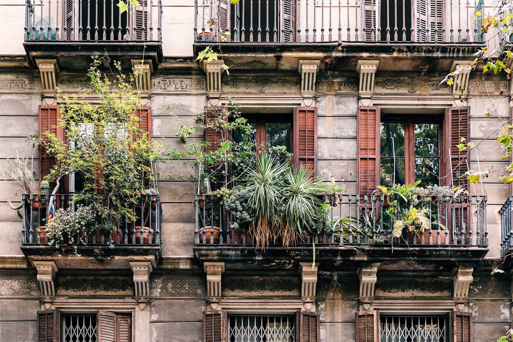 Plants adorning three balconies in Barcelona, Spain, creating an absolutely beautiful and serene feel.