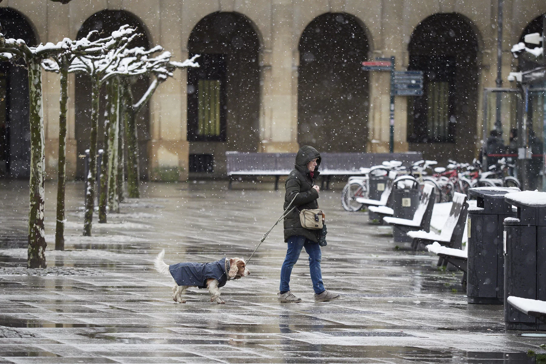 Woman walks her dog, dressed in a jacket, across a town square in Pamploma, Spain, while it is snowing. 