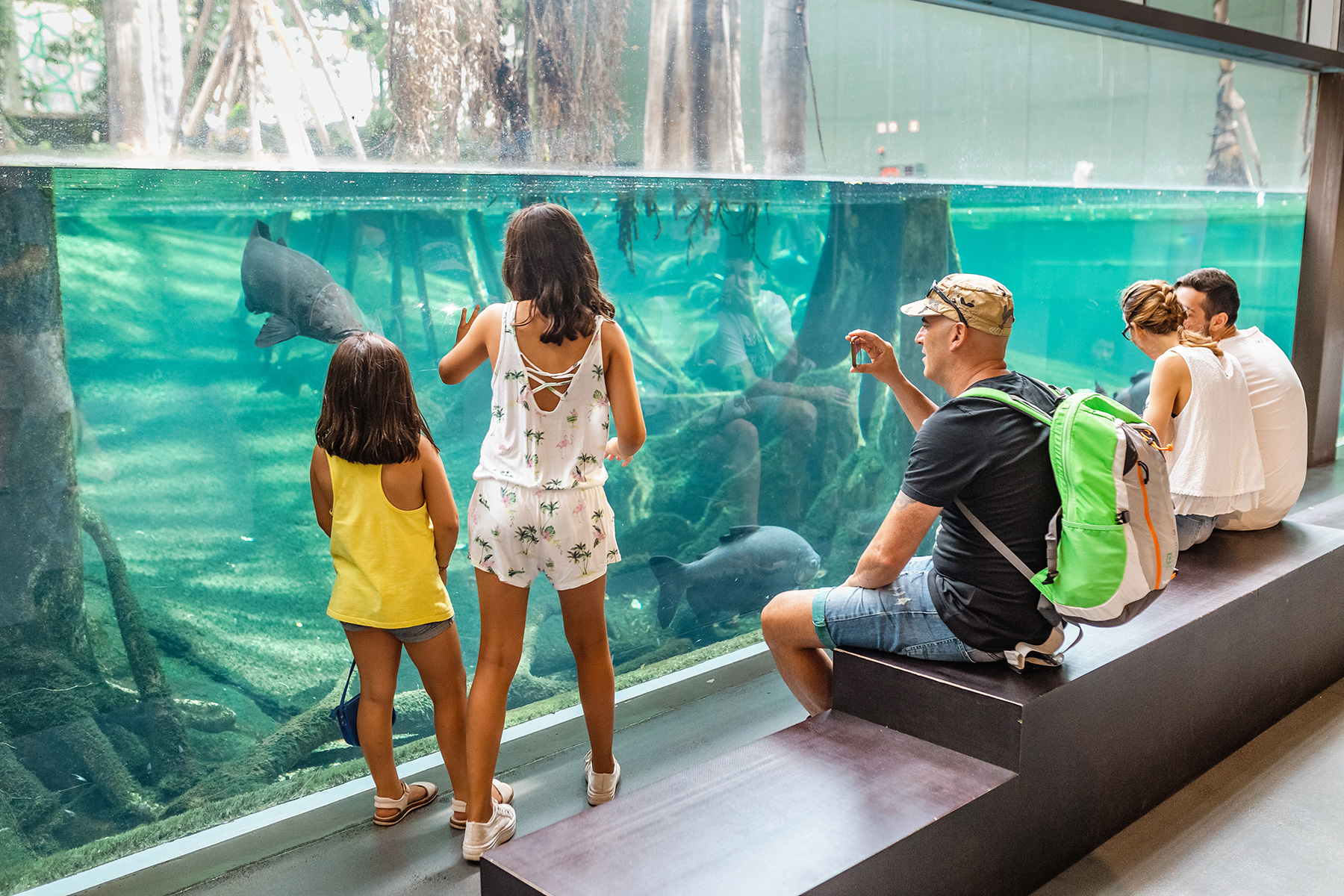 A family watching fish at Barcelona Aquarium