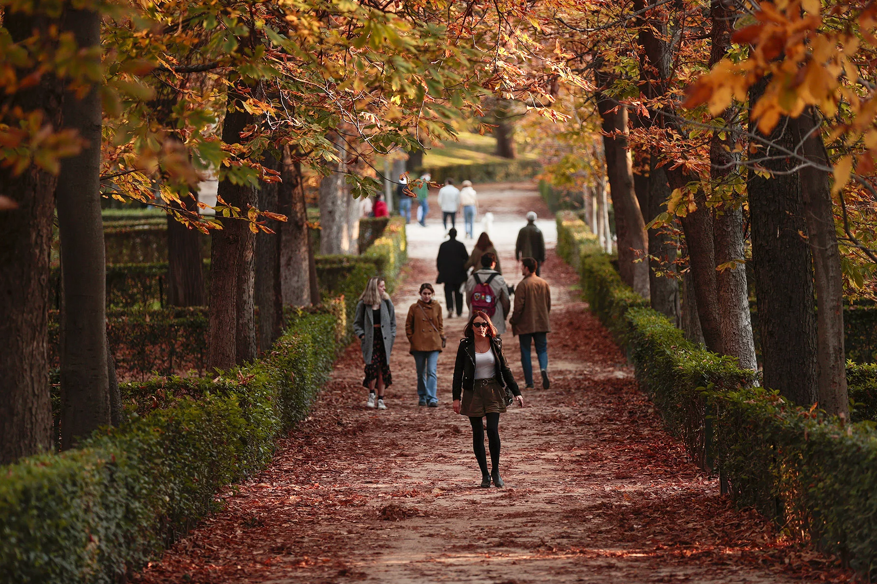 People walking through El Retiro on an autumn day in Madrid, Spain