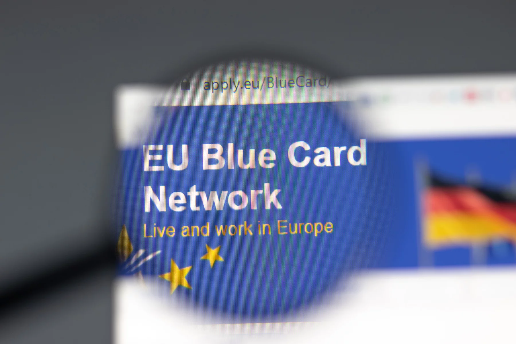 EU Blue Card Network