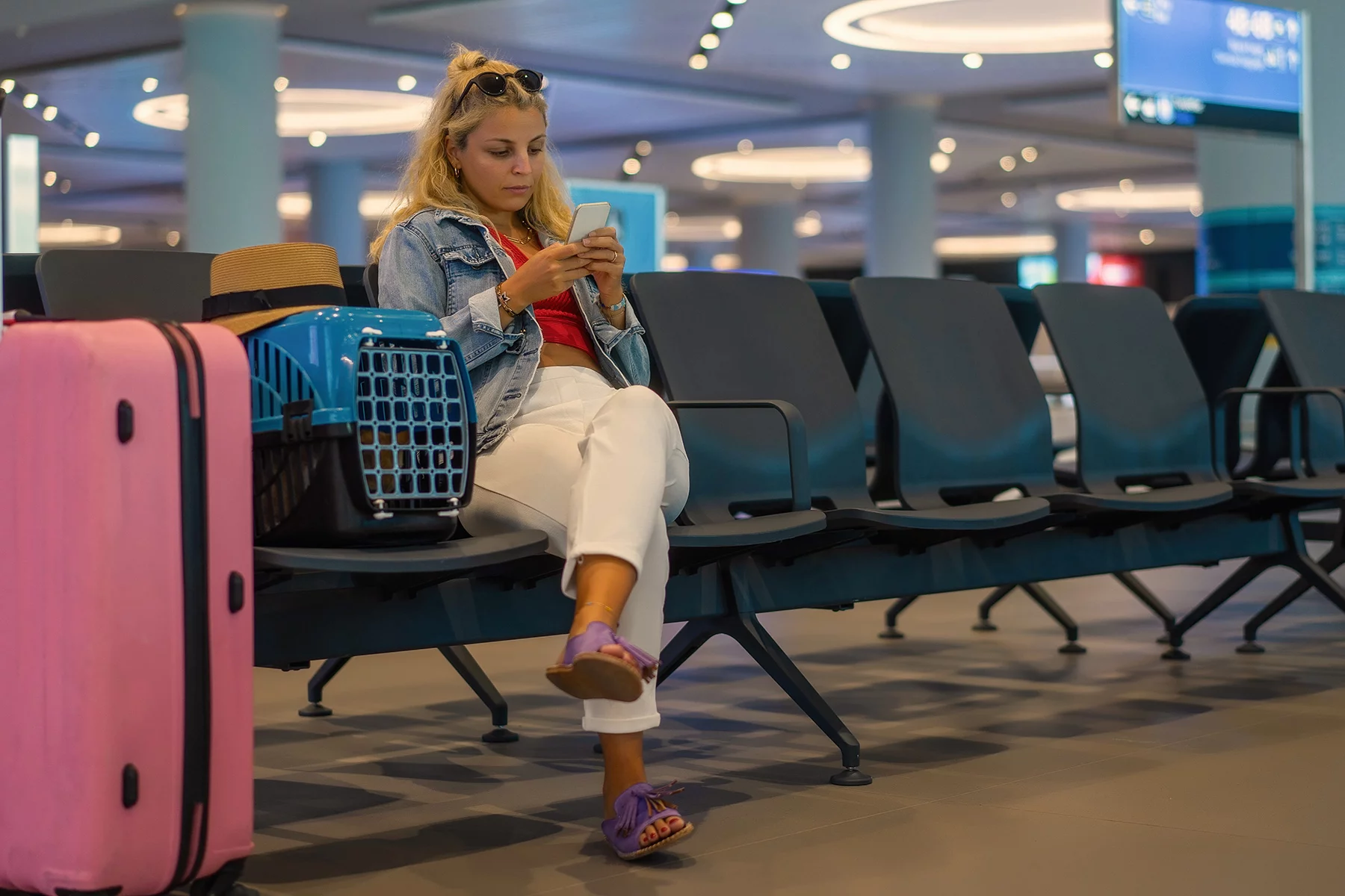 Woman travelling with pet waits in airport lounge, looking at her phone