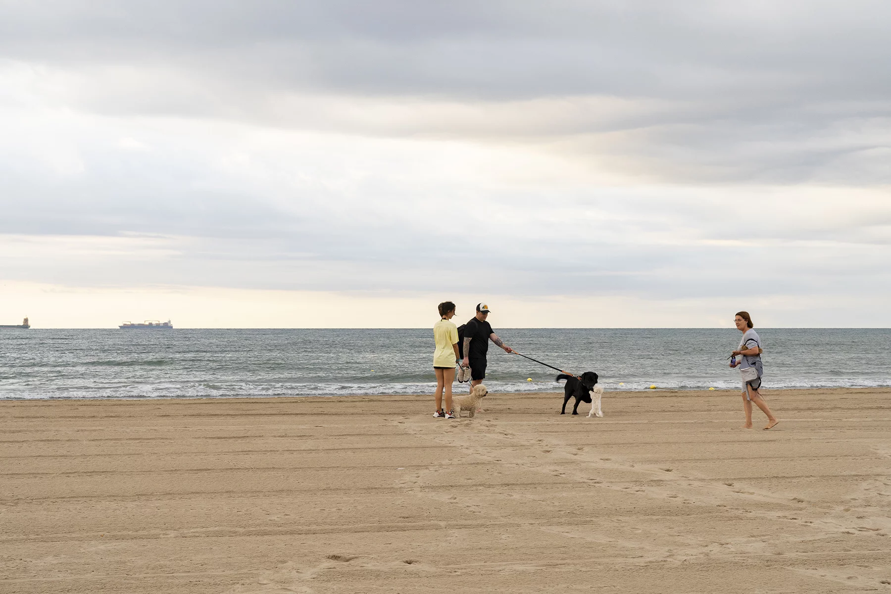 Couple walking dogs in Pinedo Beach, Valencia, Spain