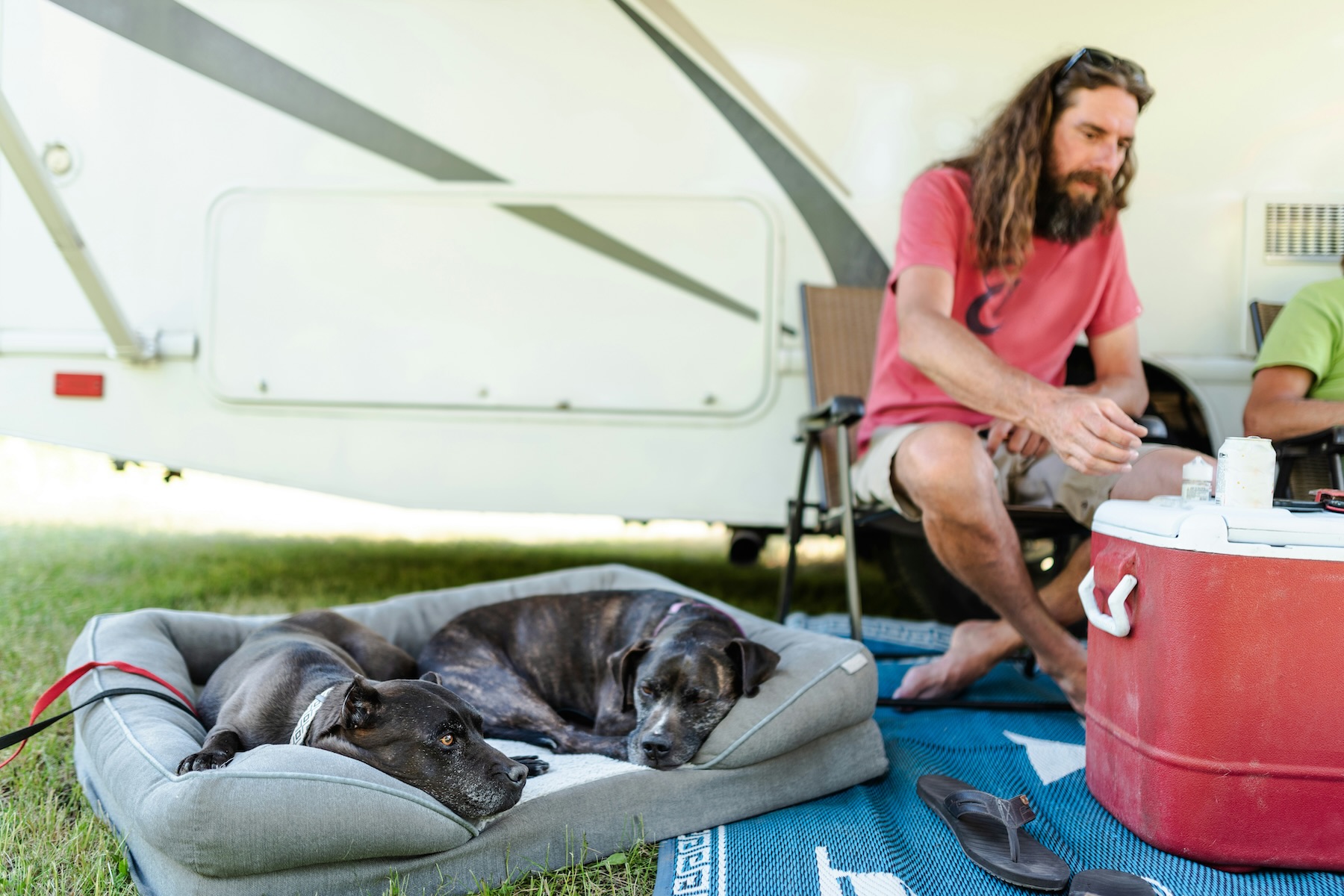 Two dogs lie next to their owner hanging out outside a camper van