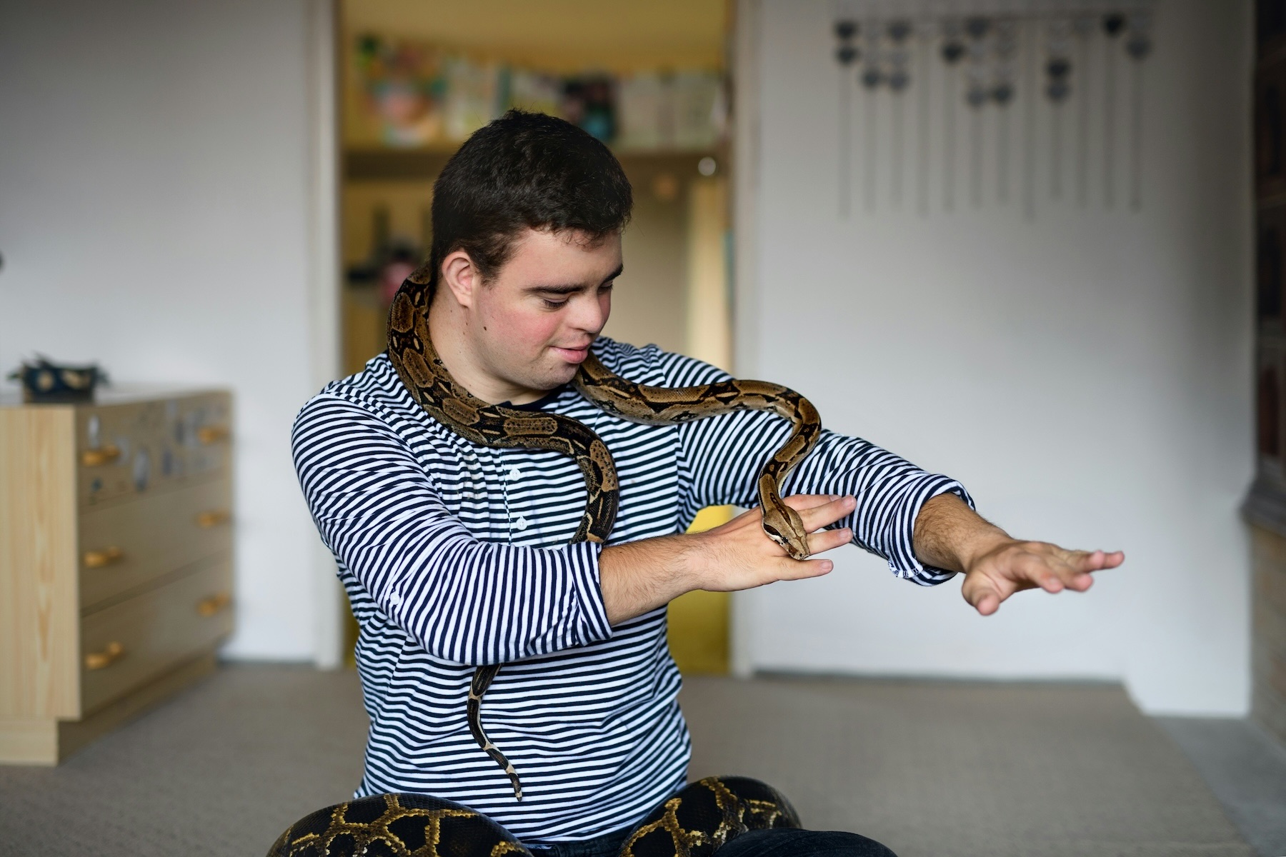 A man is playing with a large pet snake, it has wrapped itself around his shoulders