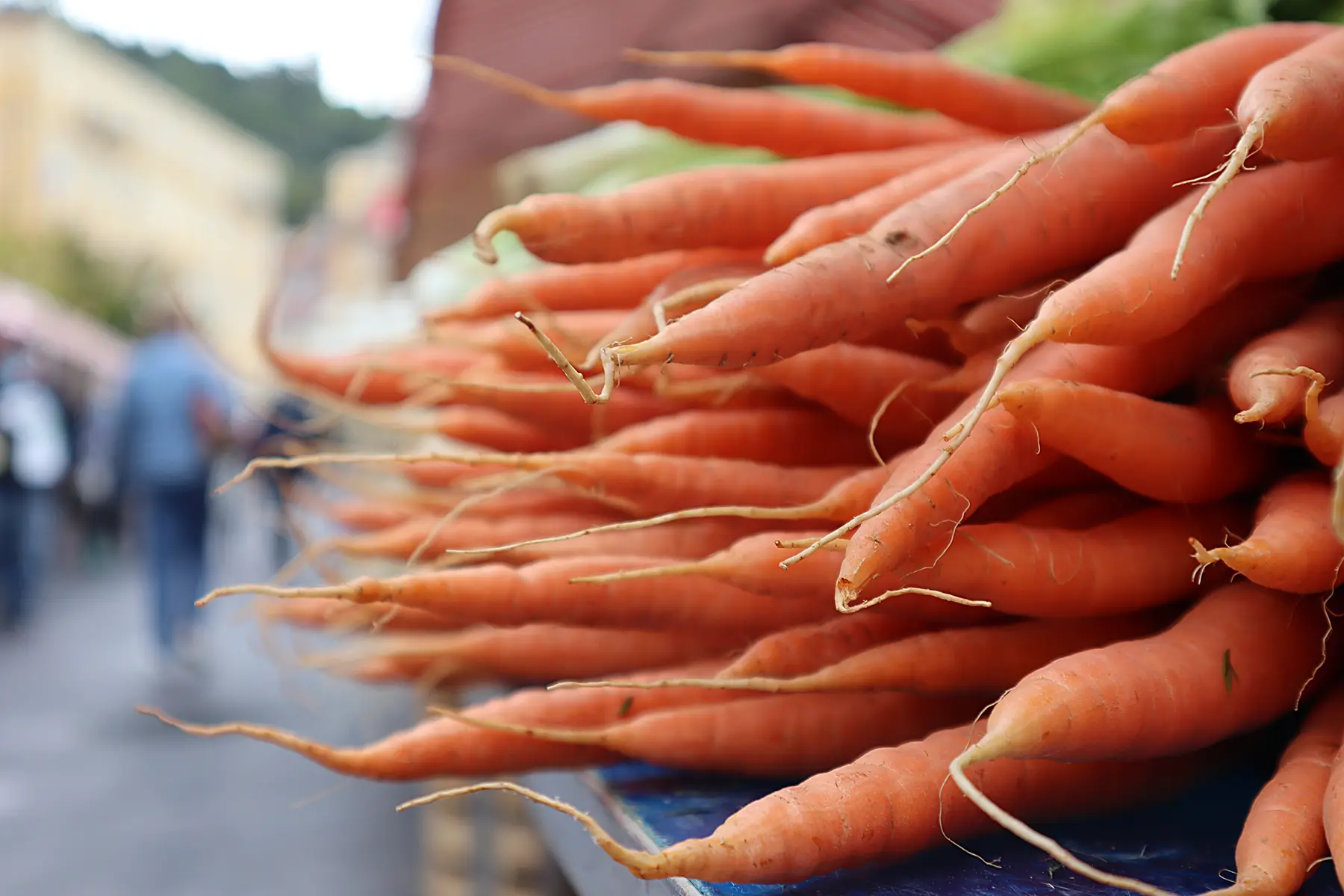 Carrots at a market stall