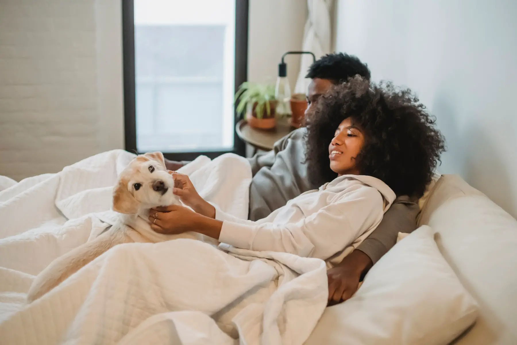 A couple snuggled in bed with their dog. 