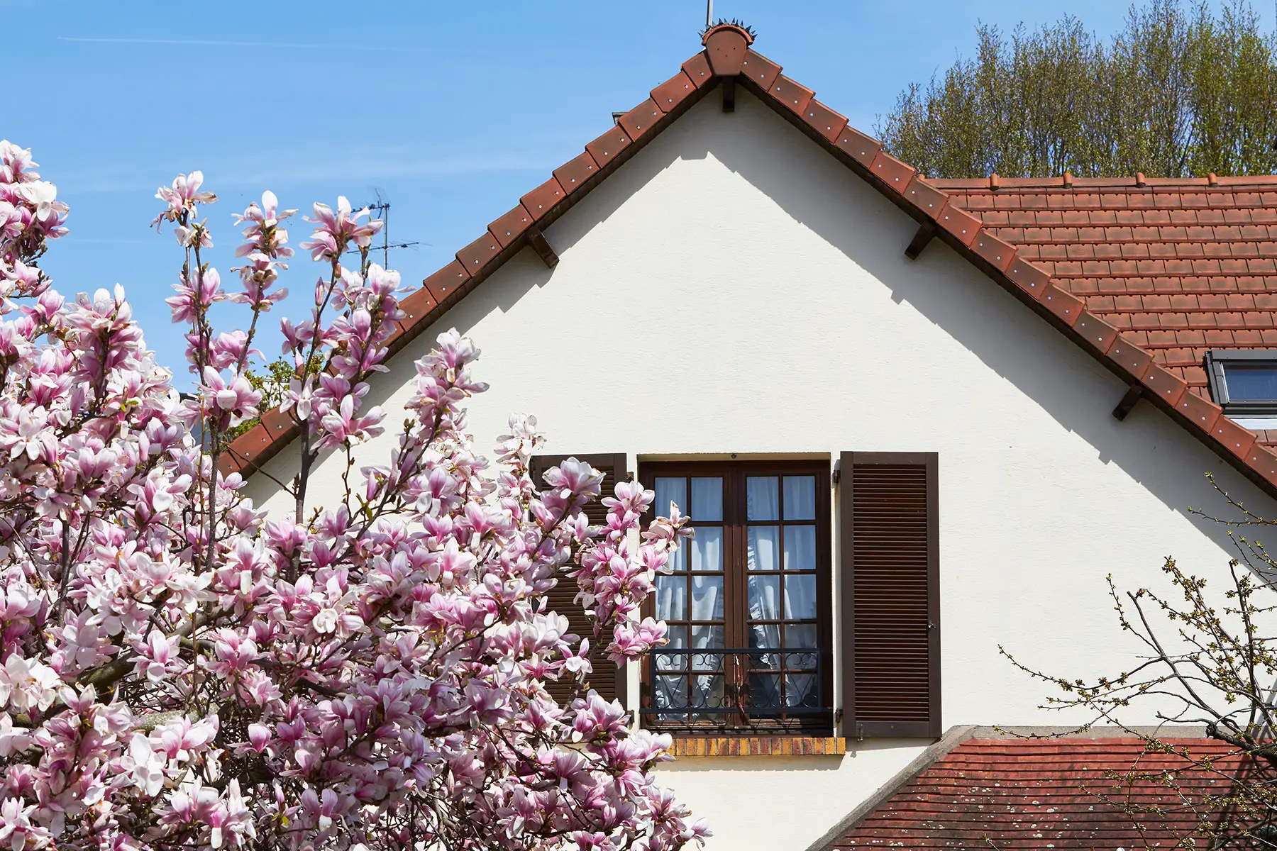 House with a tree with blossom outside the window in the suburbs of Paris