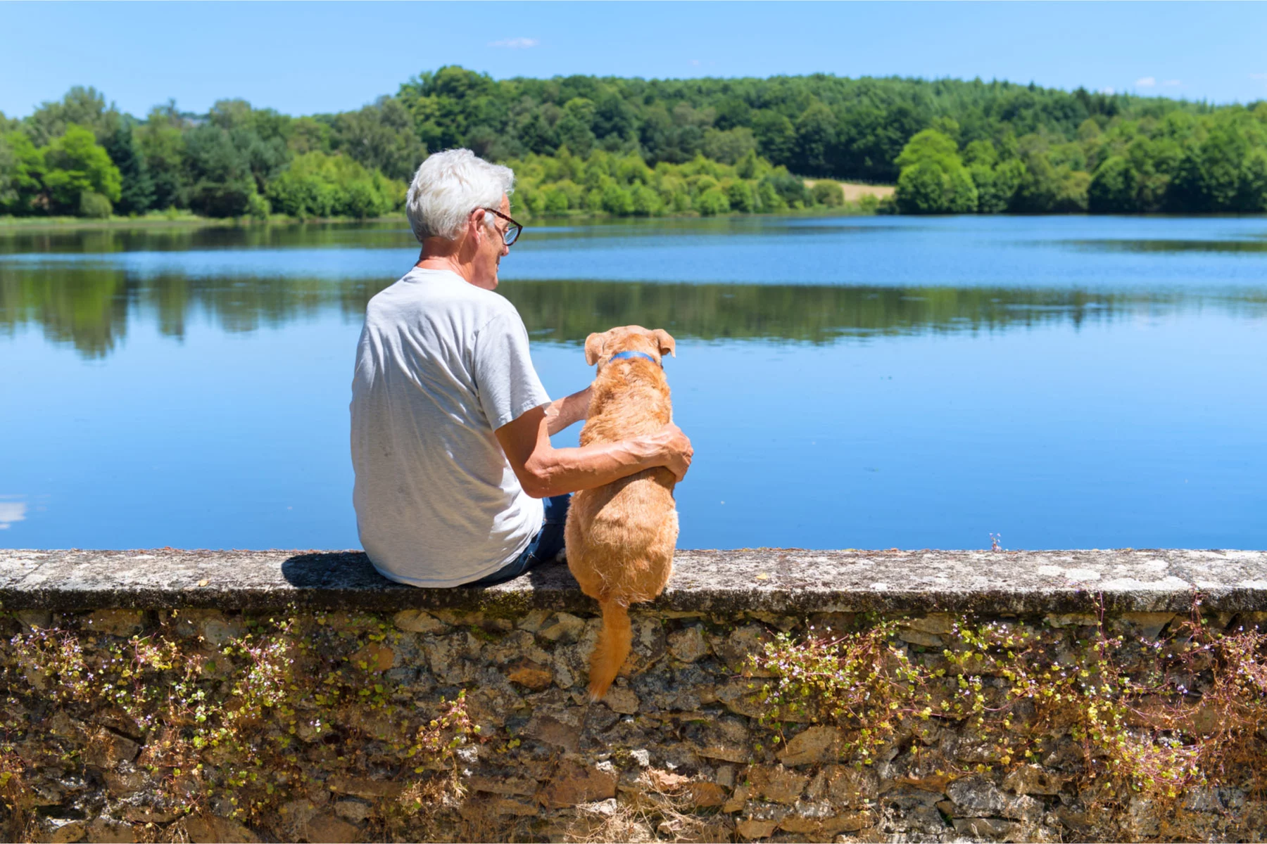 a French pensioner and his dog relax by a lake 