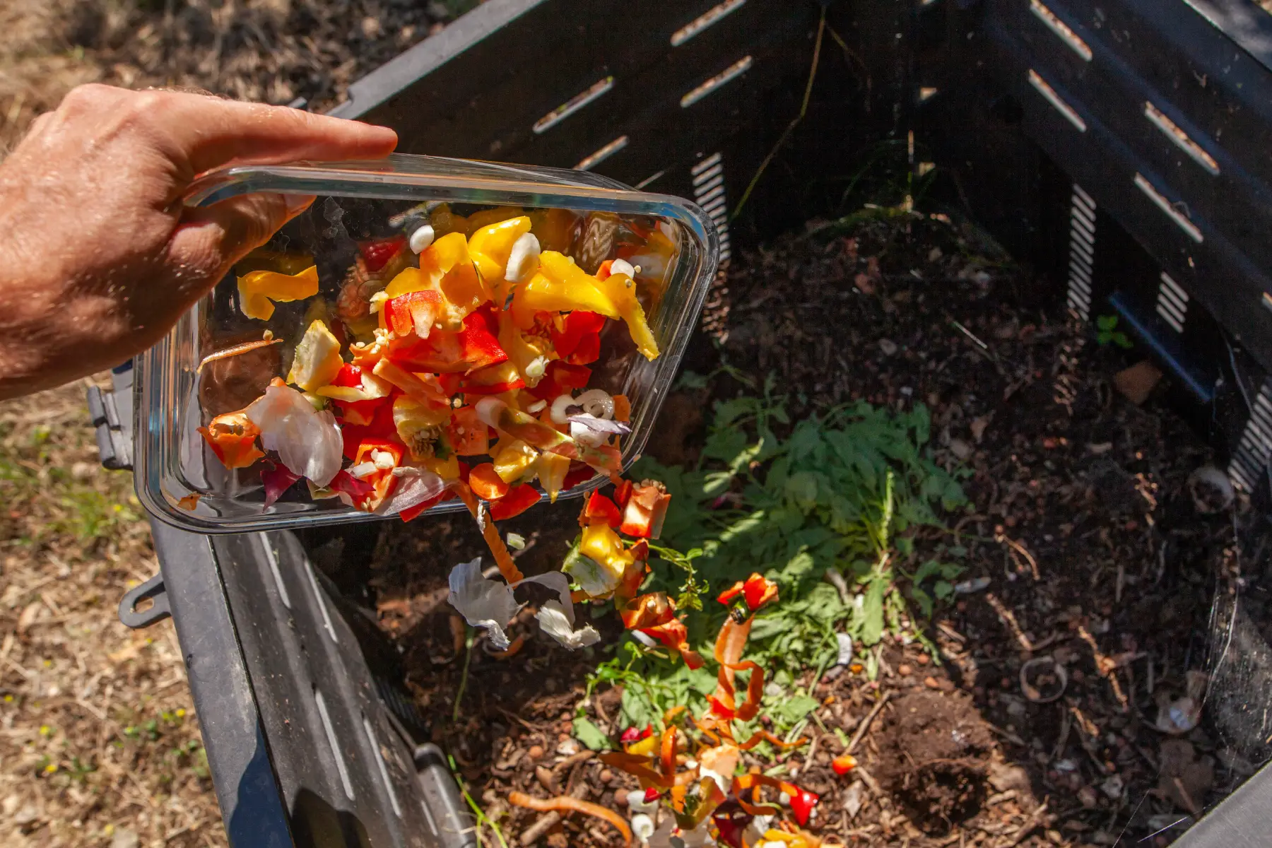 A hand pours vegetable waste from a glass container into a compost bin.