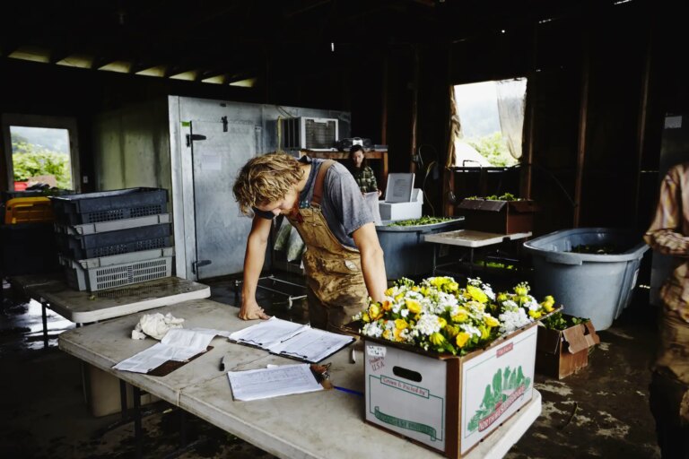Farmer standing leaning on table in farm work shed checking delivery log for produce orders