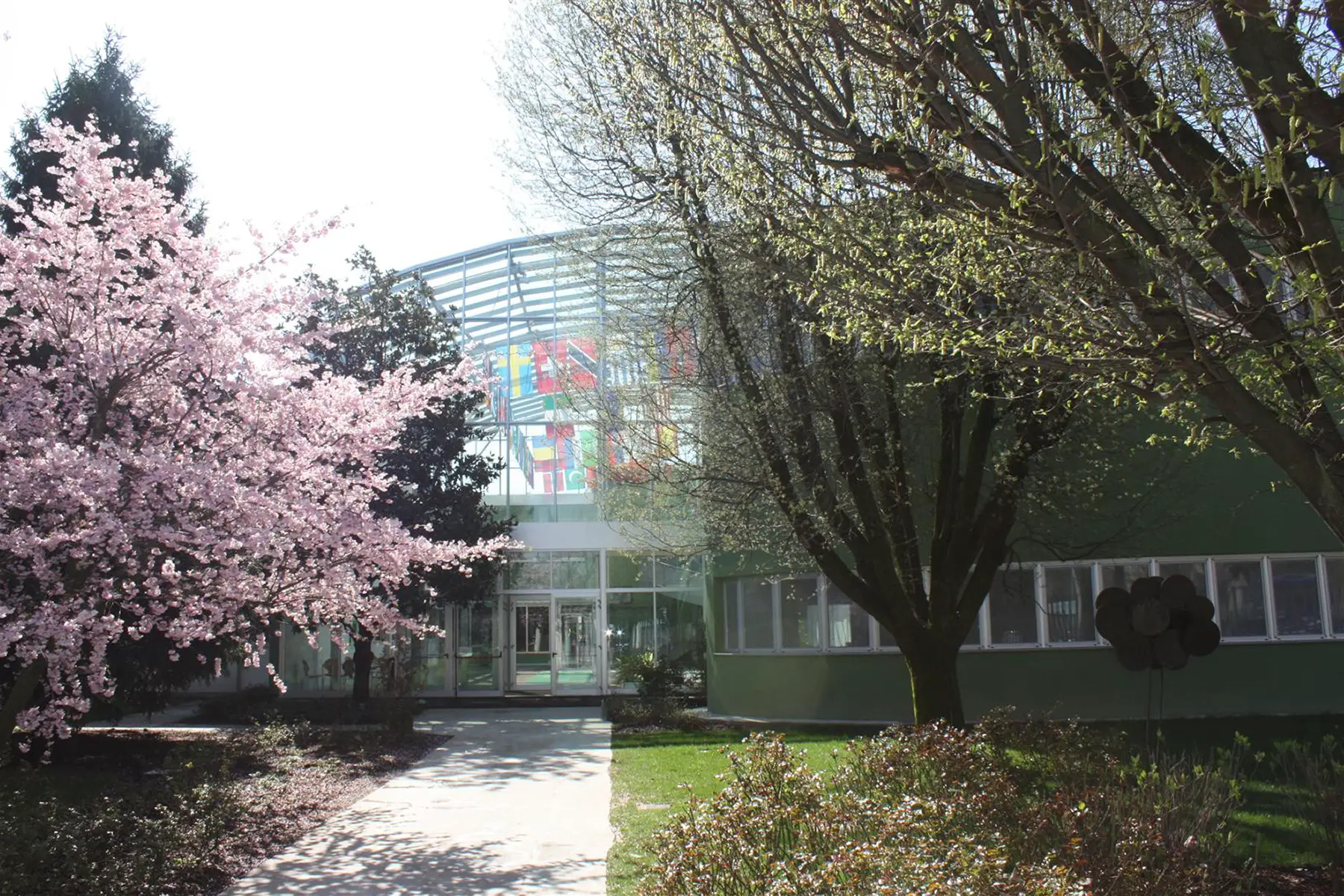 A school entrance with a glass front, flags of many countries hanging inside. Blossom tree outside.