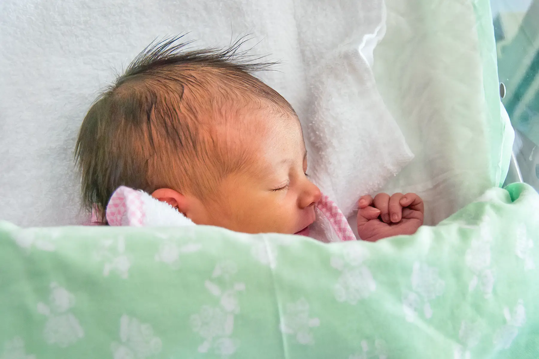 Newborn baby sleeping under a blanket
