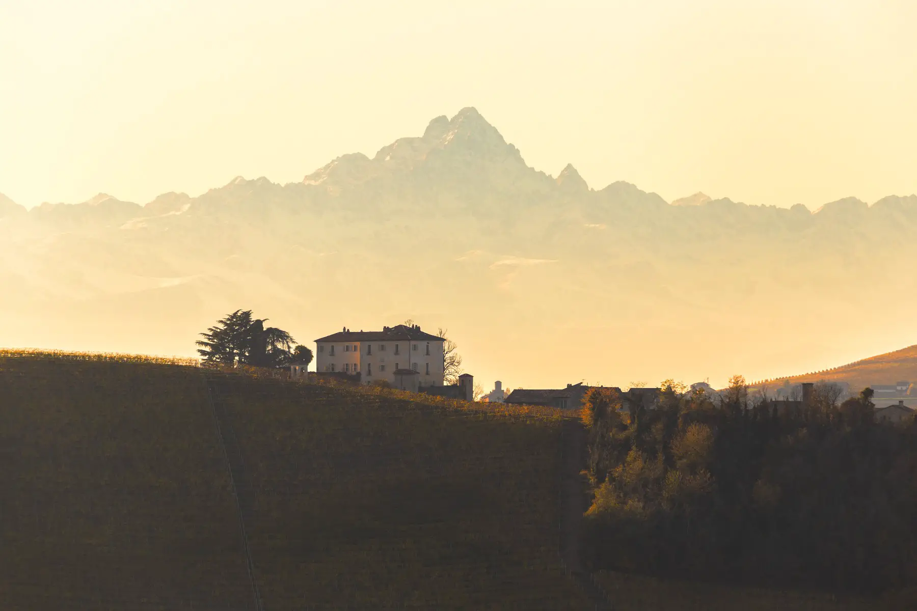 Ancient farmhouse in the vineyard with the Monviso Peak in the background (Langhe, Italy).