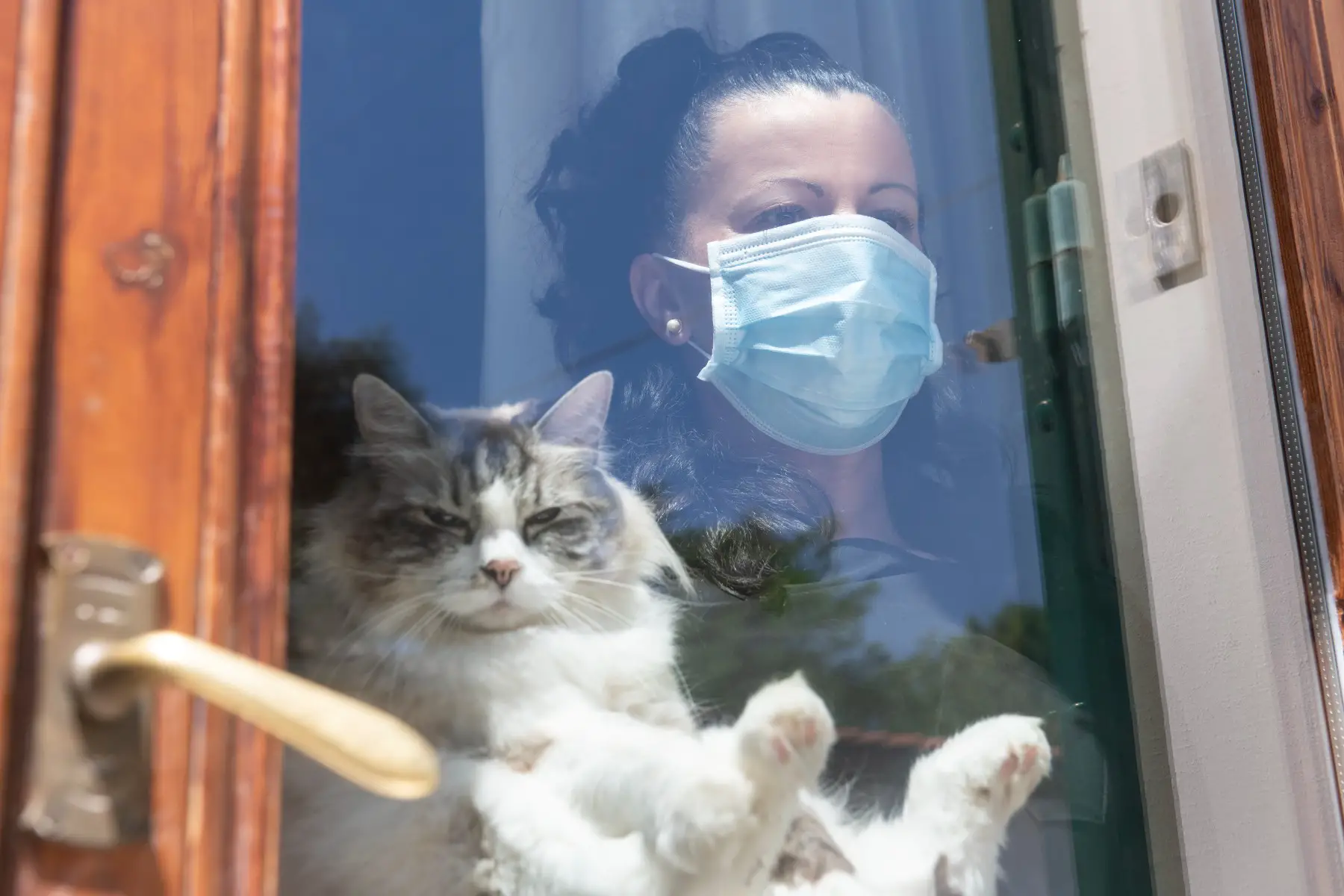 Woman holding a cat behind a window wearing a protective face mask.