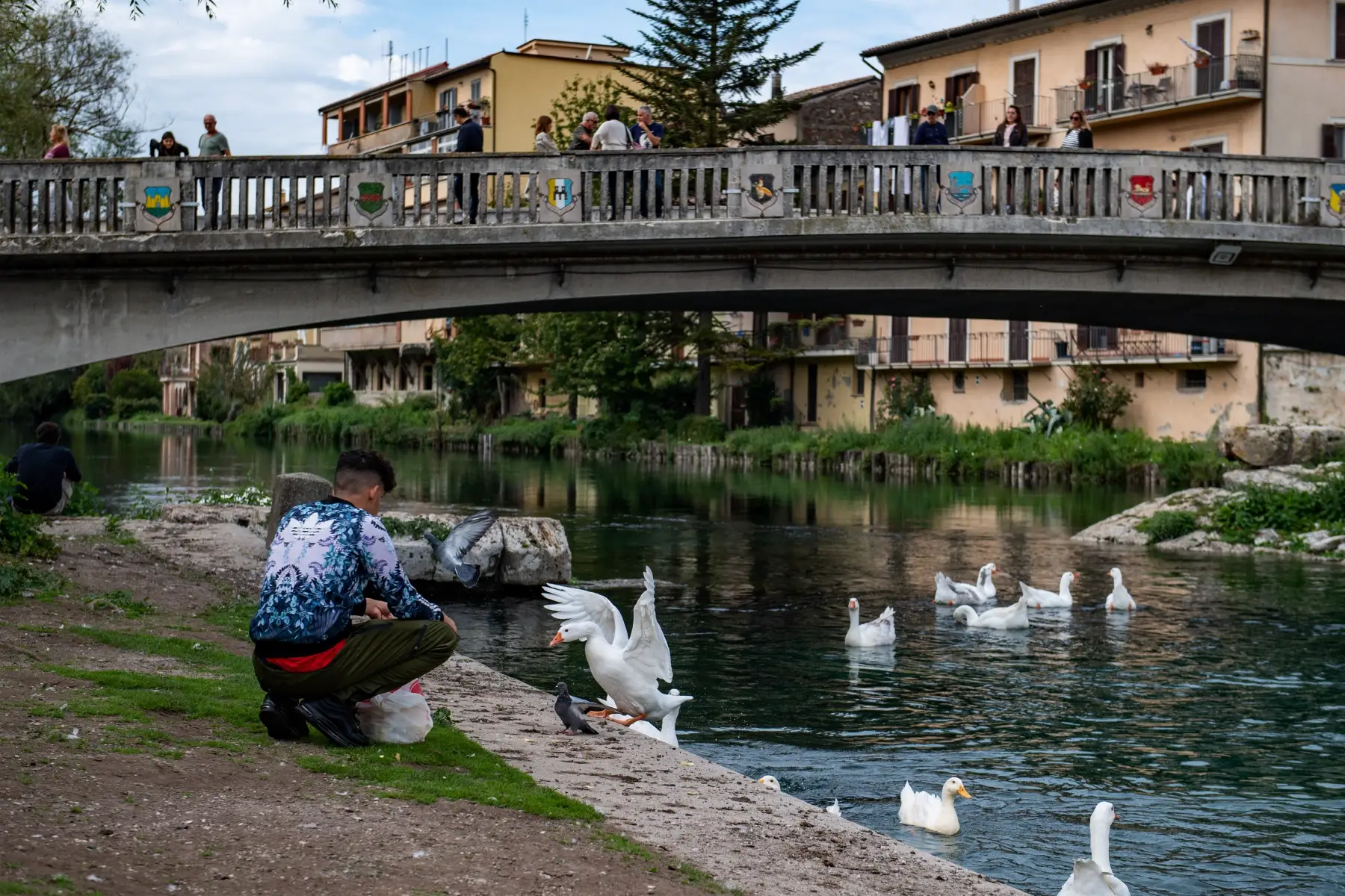 Young man feeding ducks while people cross bridge in background in Rieti, Italy