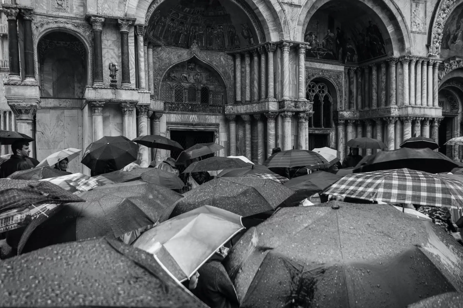 Black and white image of the top of umbrellas on a wet day in Venice (Venezia)