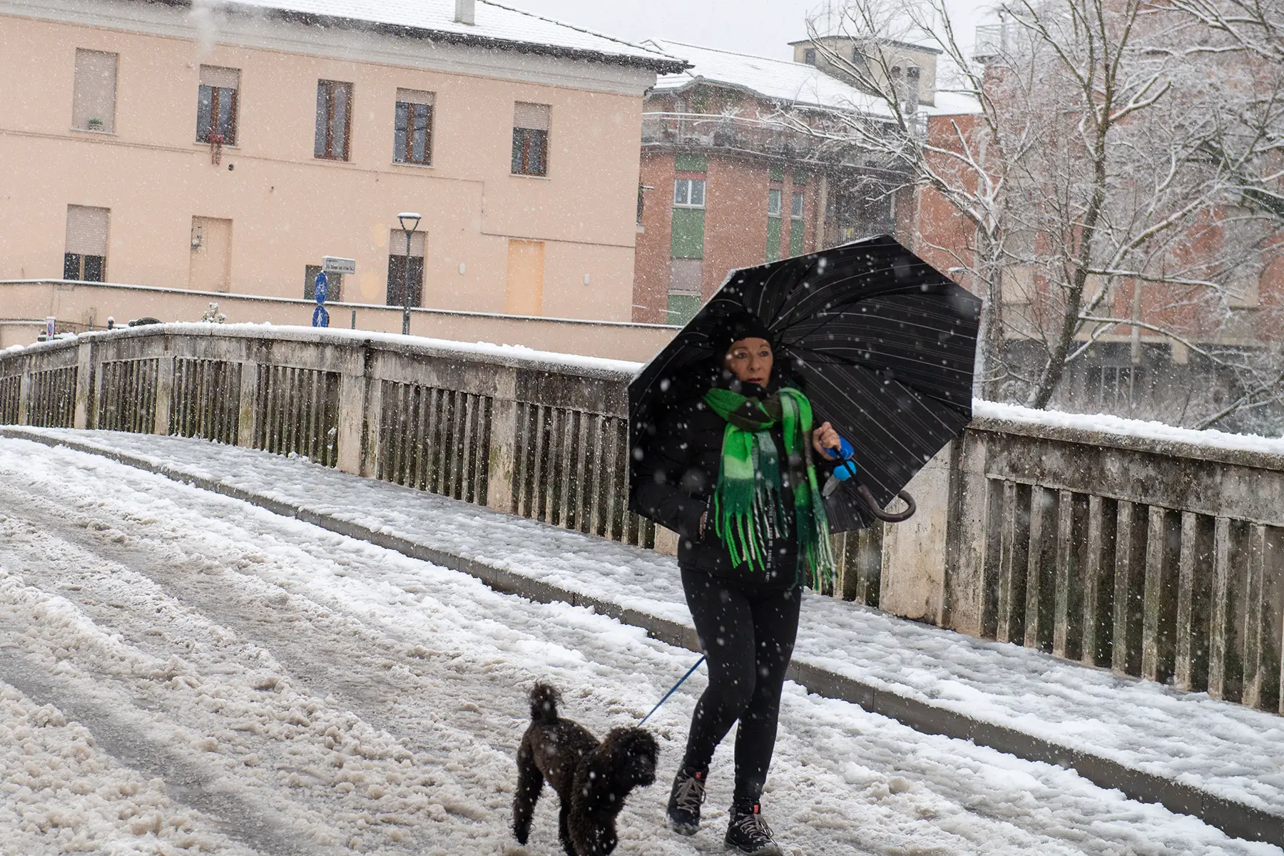 A woman walking through the snow with an umbrella in one hand and a dog on a lead in the other.