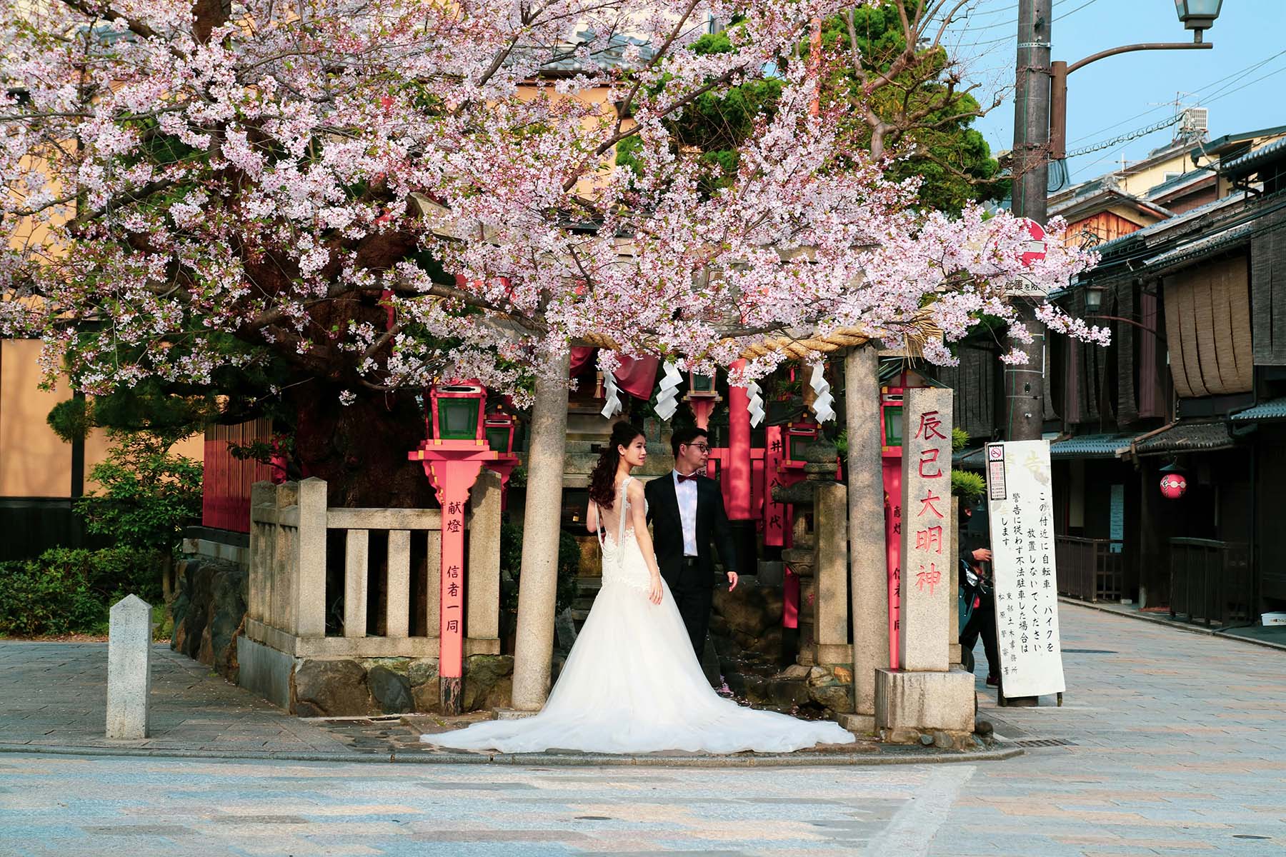 Bridge and groom standing near the entrance of their venue, looking to the side. There is a cherry tree blossoming.