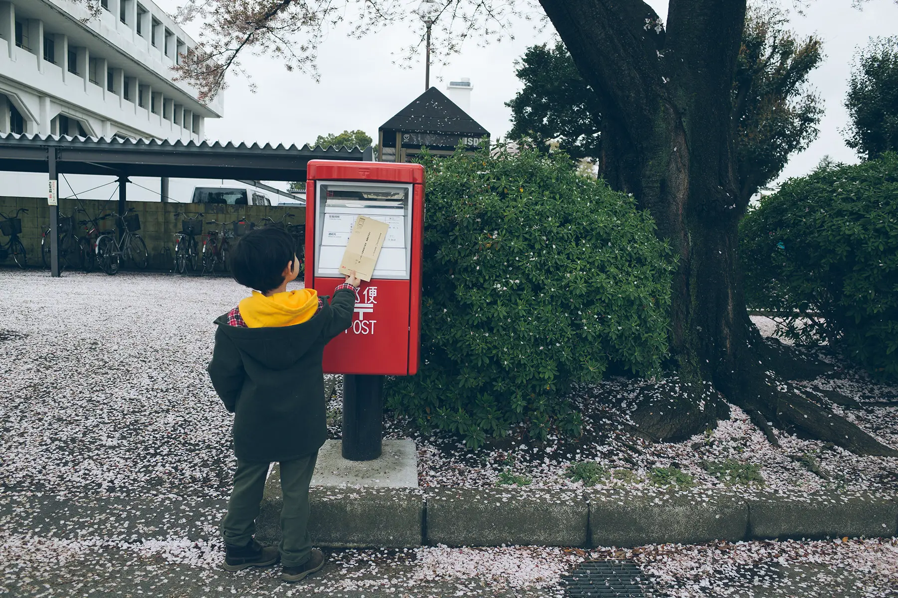 A boy posting a letter into a mailbox