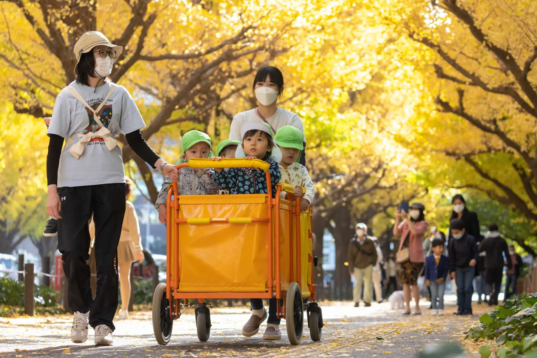 Kindergarten children are pushed in a cart through a park in Tokyo - when moving to Japan, you need to sort out childcare
