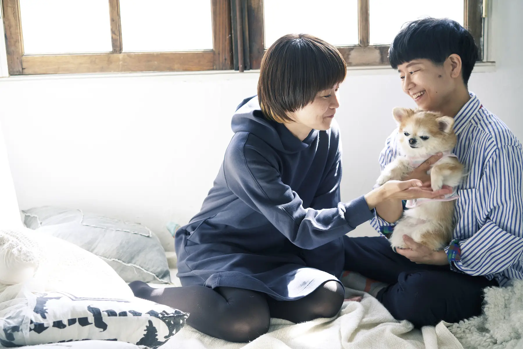 A couple sits on the bed together smiling and playing with their small dog