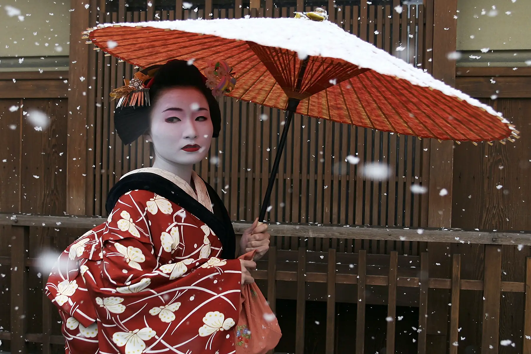 A Maiko, a traditional Japanese dancer, walks in the snow in Gion, Kyoto's famous geisha district