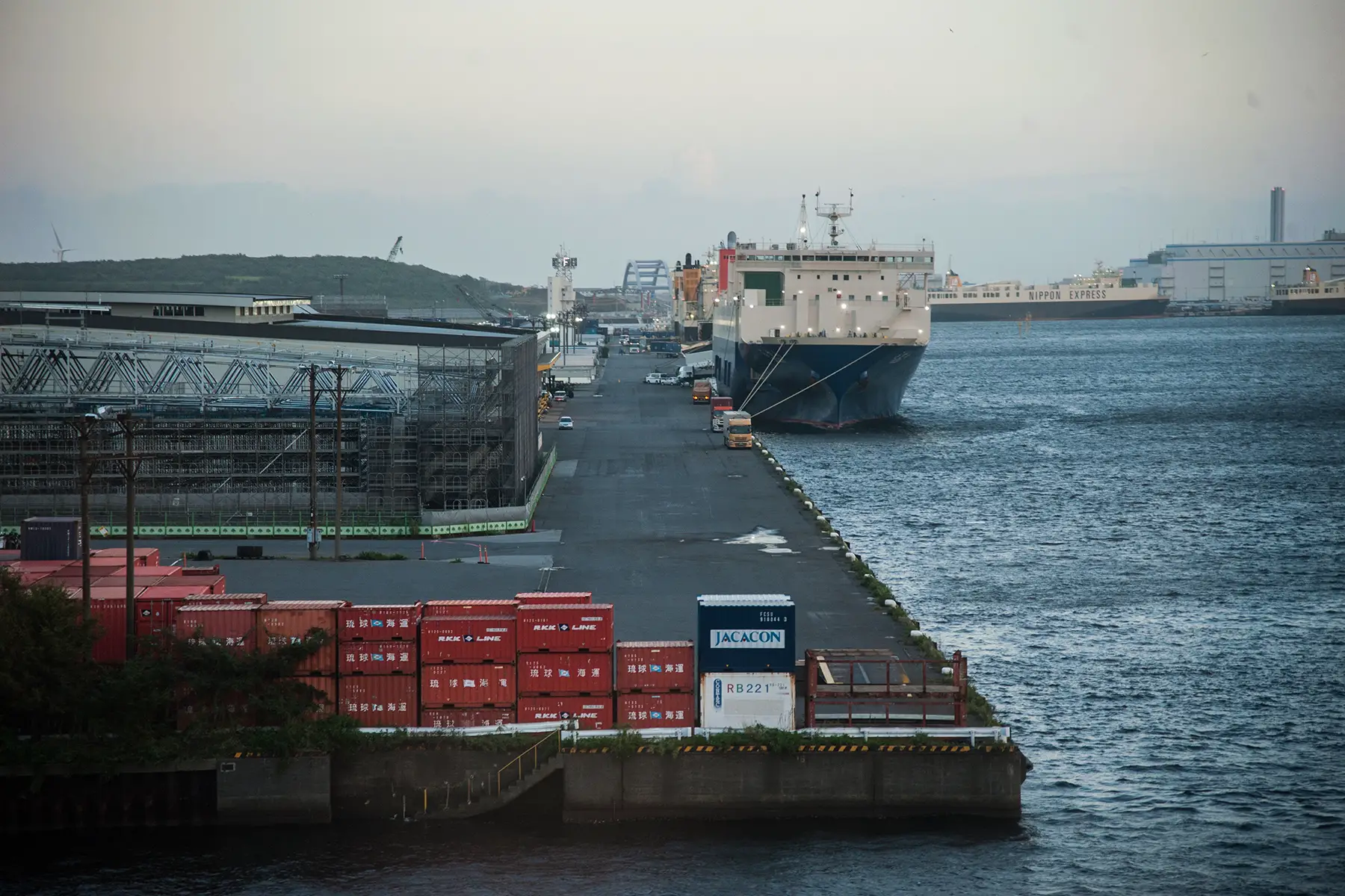 Harbor in Tokyo, grey sky, container ship