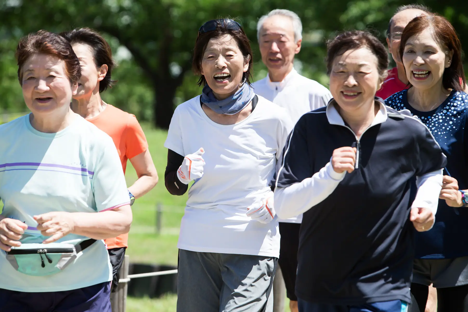 a group of happy and healthy seniors going for a jog together in a park on a sunny day