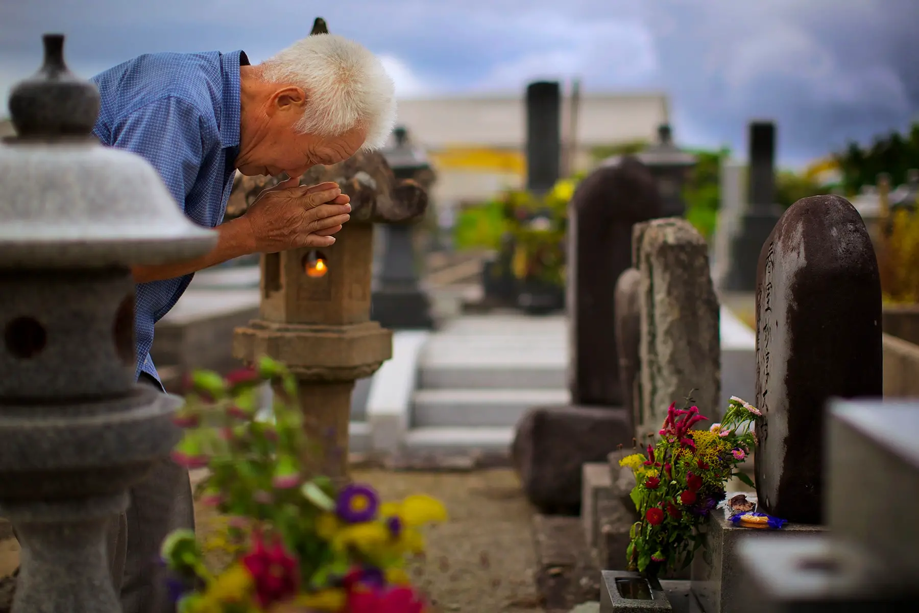 Older man in a cemetery bowing to a headstone during the Obon festival