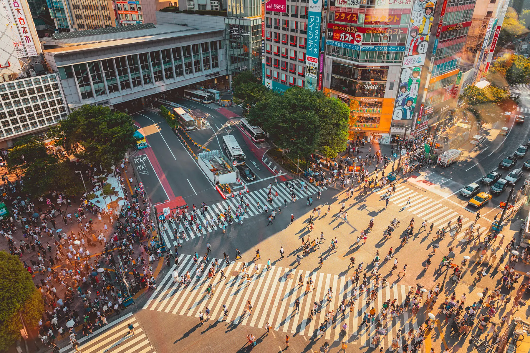Aerial view of the famous three-way Shibuya Crossing in Tokyo, Japan.