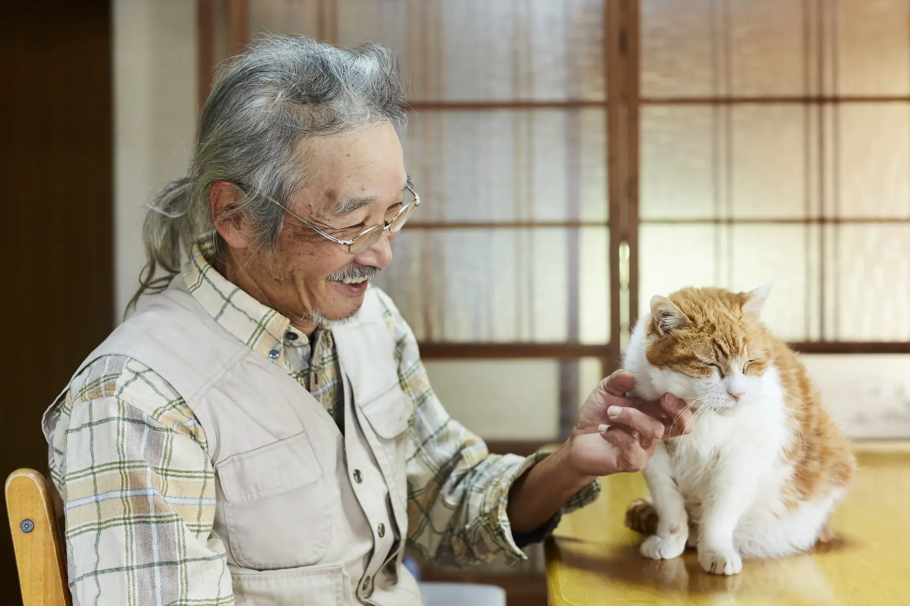 Smiling old man is petting his tabby cat.